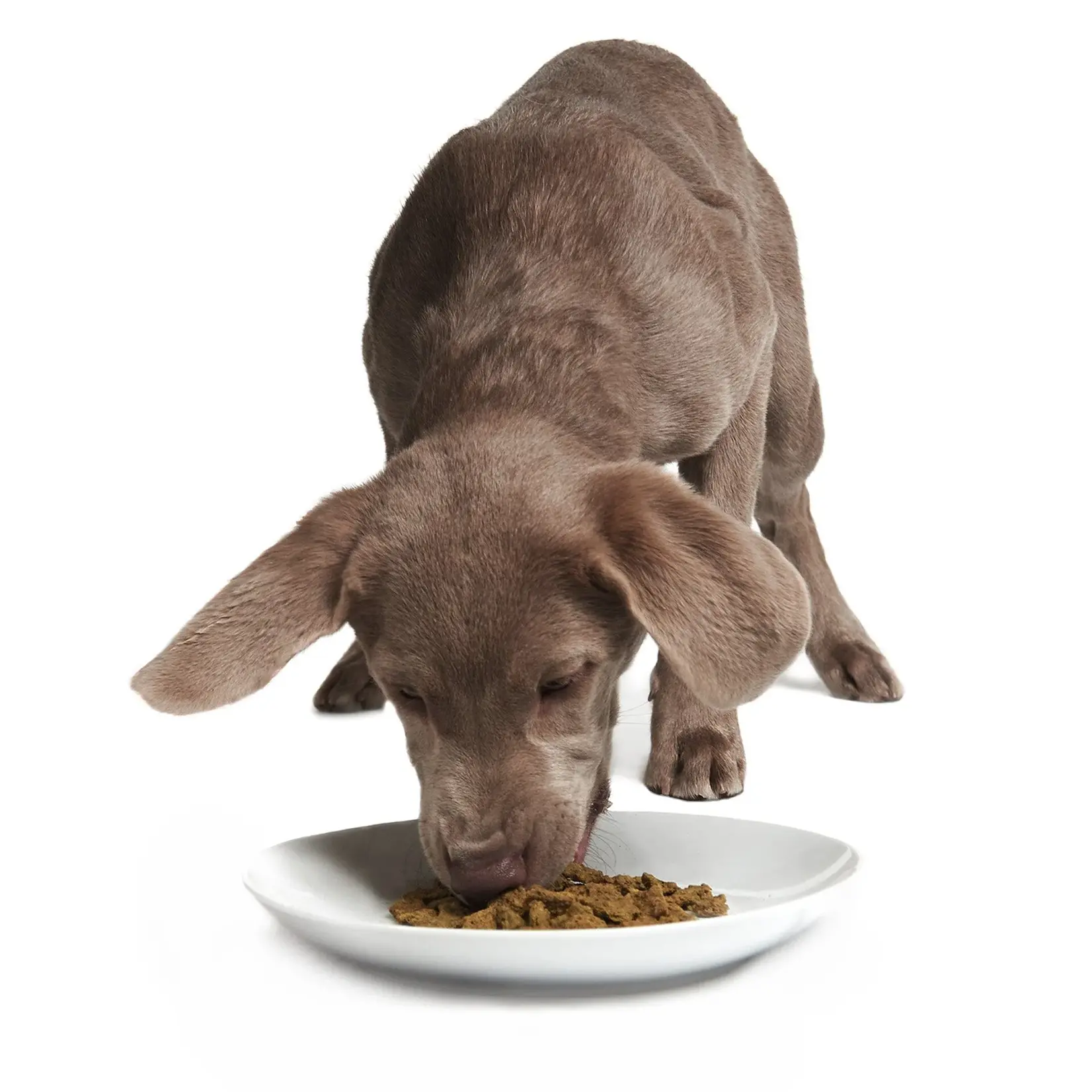 Smack Pet Food Smack: Rockin' Rockfish