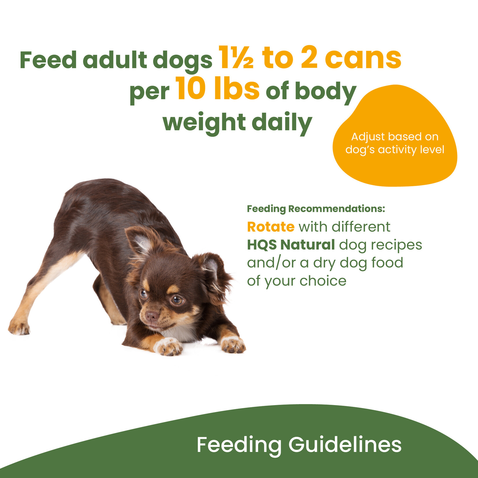 Almo Nature Almo Nature: HQS Complete Dog Food: Chicken, Egg & Cheese 156g