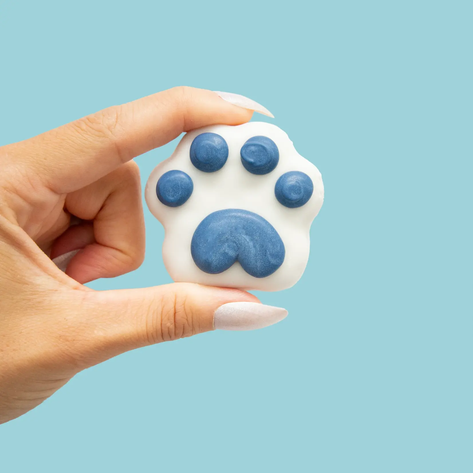 Bosco and Roxy's Bosco & Roxy: Winter Wonderland Mini Paw Cookies