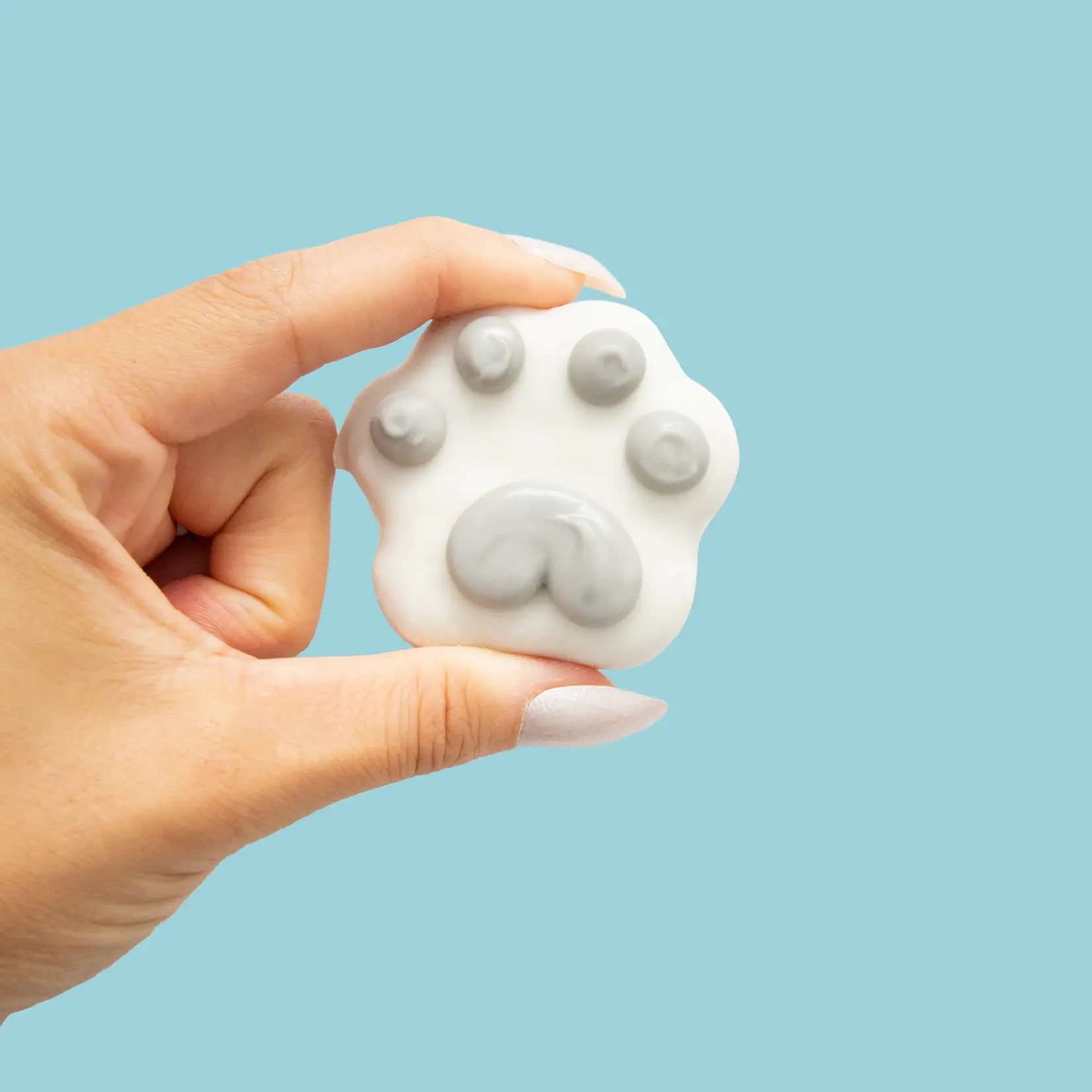 Bosco and Roxy's Bosco & Roxy: Winter Wonderland Mini Paw Cookies