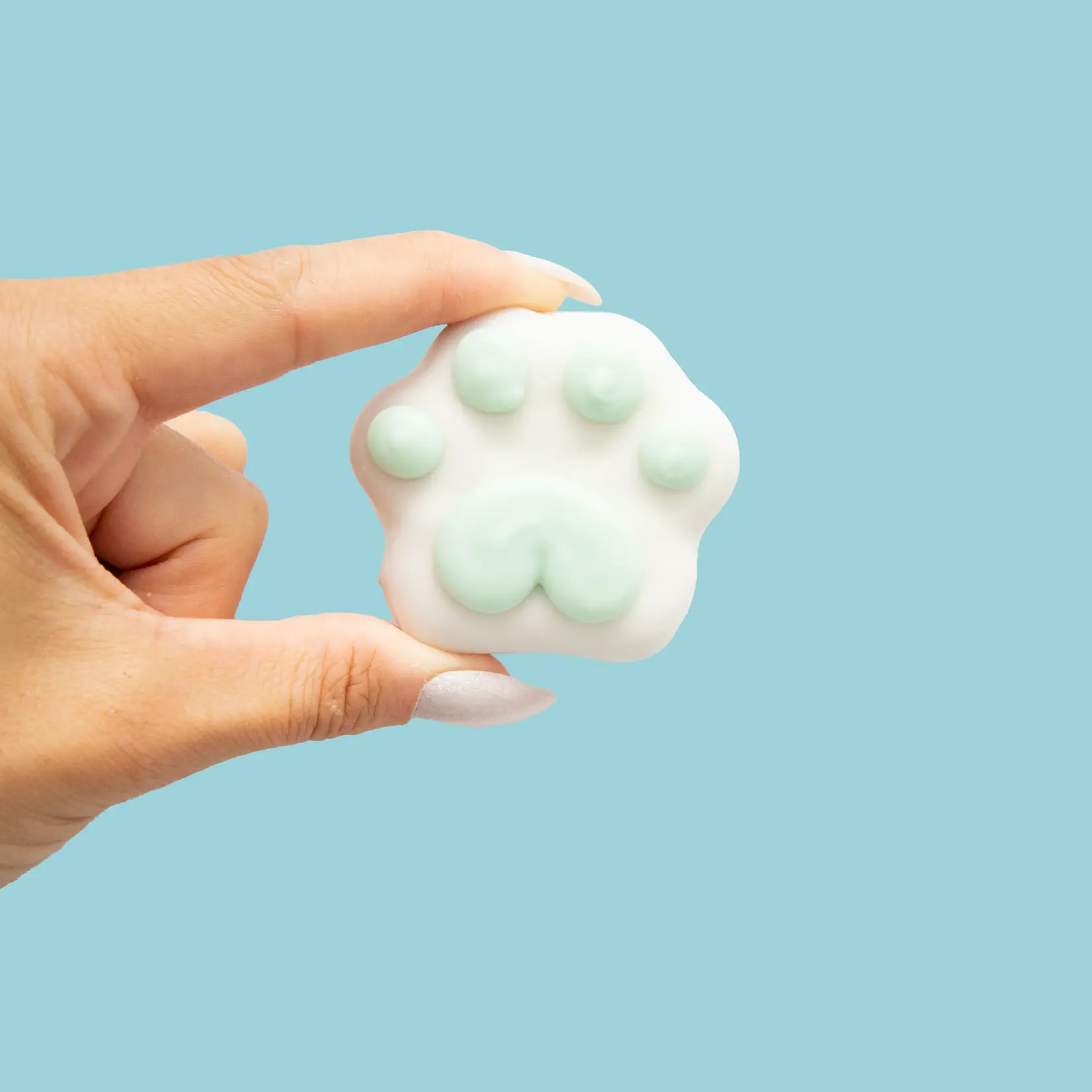 Bosco and Roxy's Bosco & Roxy: Winter Wonderland Mini Paw Cookies