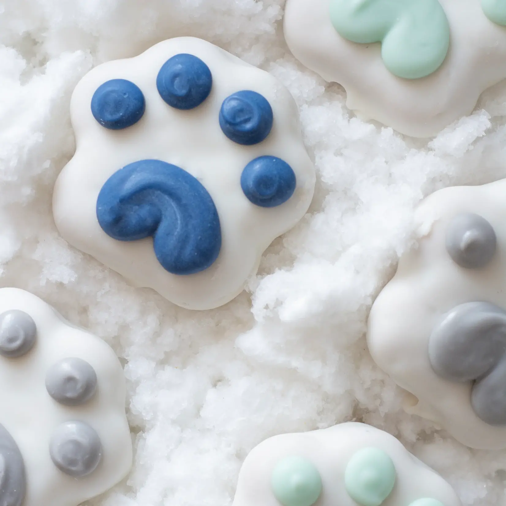 Bosco and Roxy's Bosco & Roxy: Winter Wonderland Mini Paw Cookies
