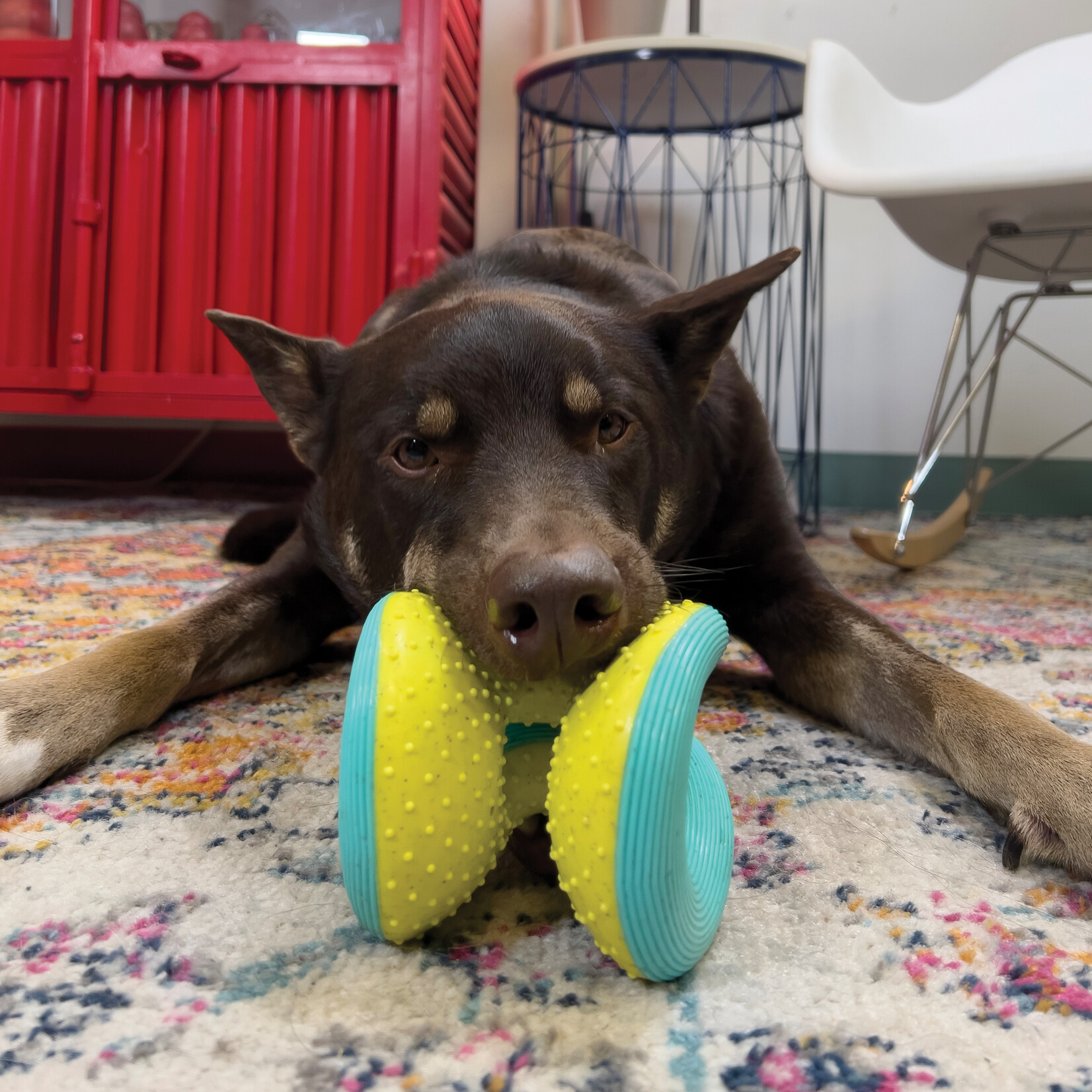 Kong Kong: Rerun Woosh Ball: Assorted Colours