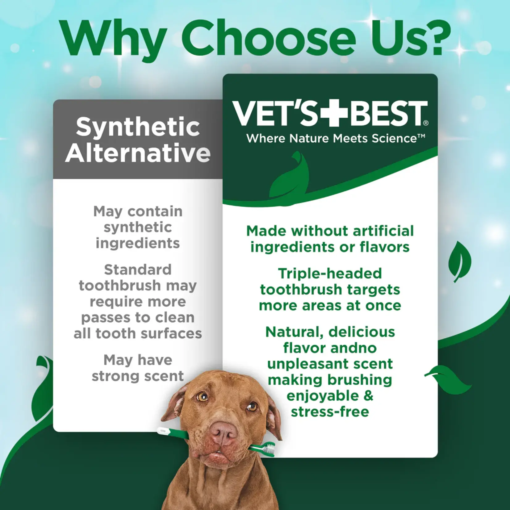 Vet's Best Vet's Best: Dental Care Kit: Toothbrush & Gel