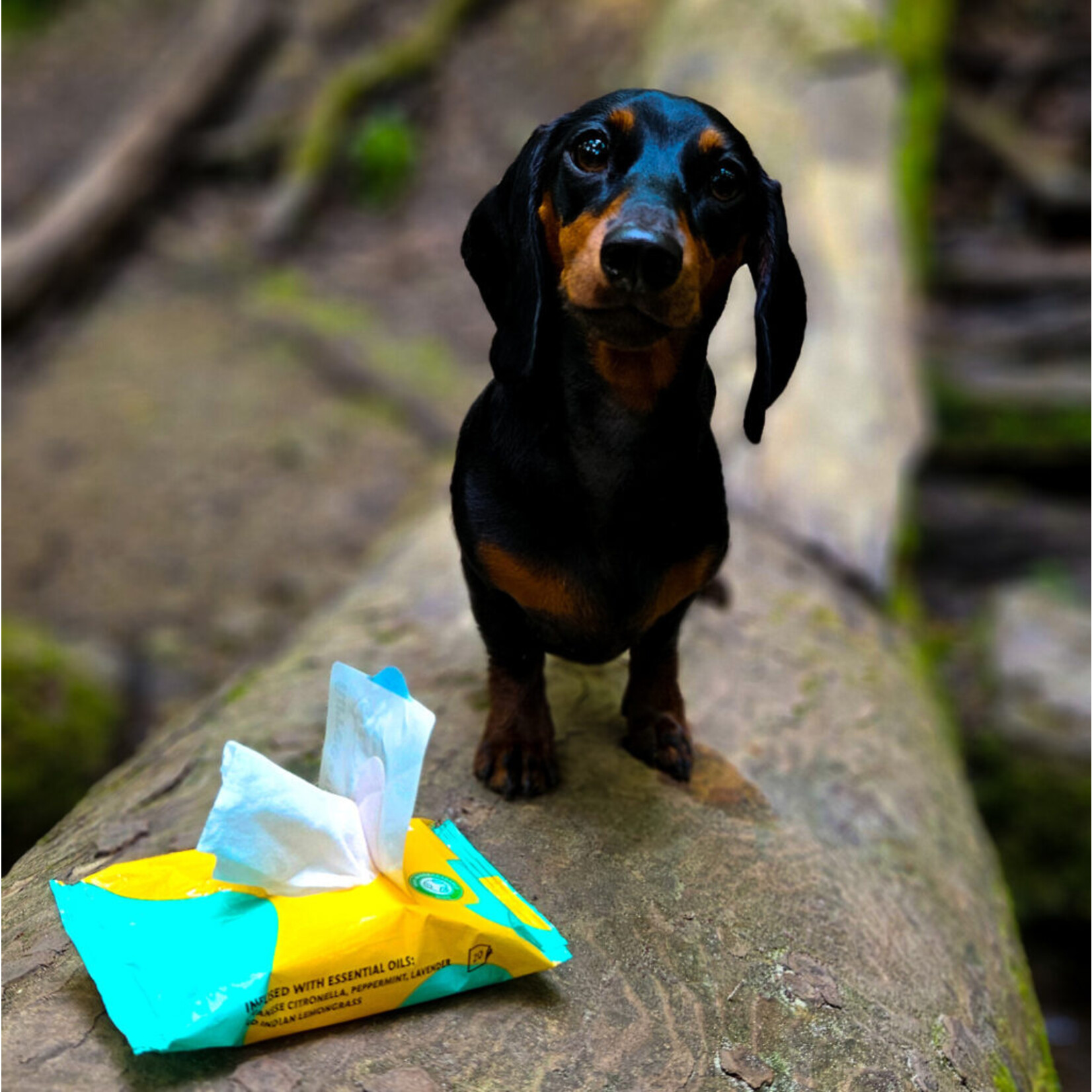 Tickless Tickless: Natural Insect Wipes 20pk