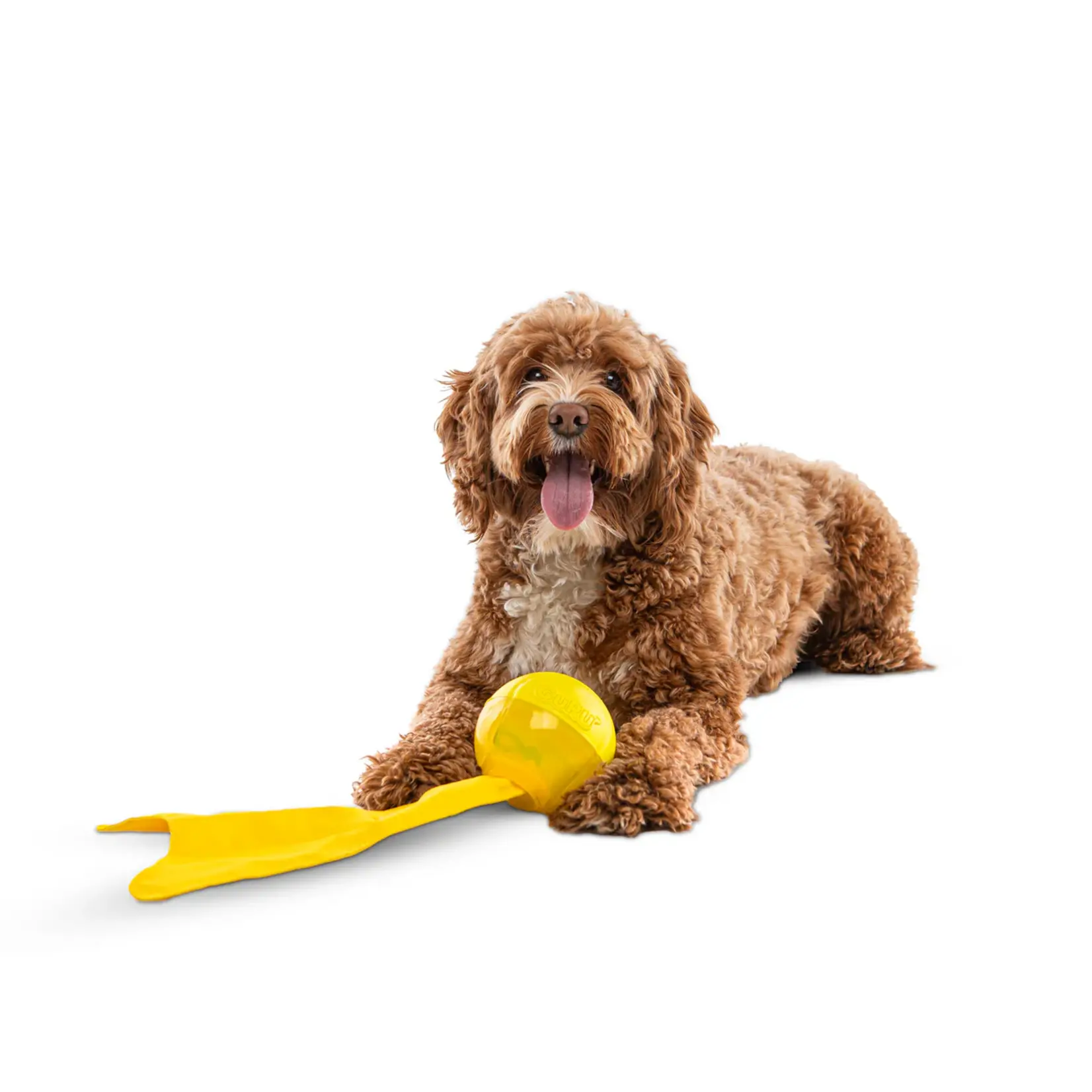 Guru Pet Company Guru: Bonanza Ball