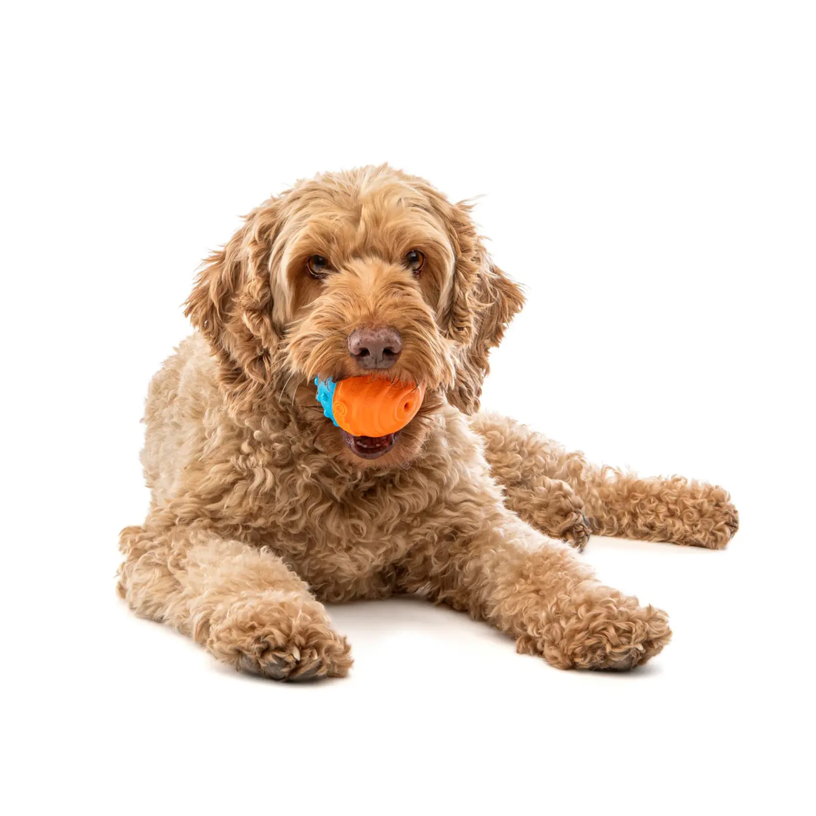 Guru: Crunch & Squeak Ball 2pk