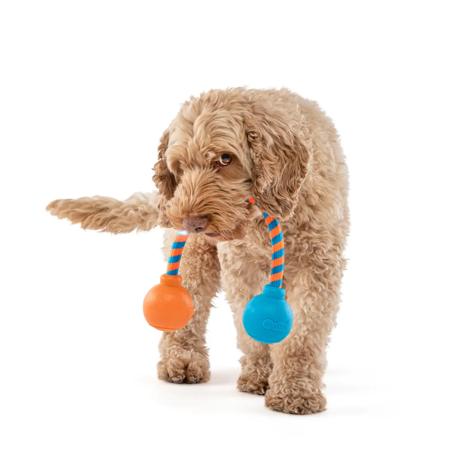 Guru Pet Company Guru: Squeaking Rope