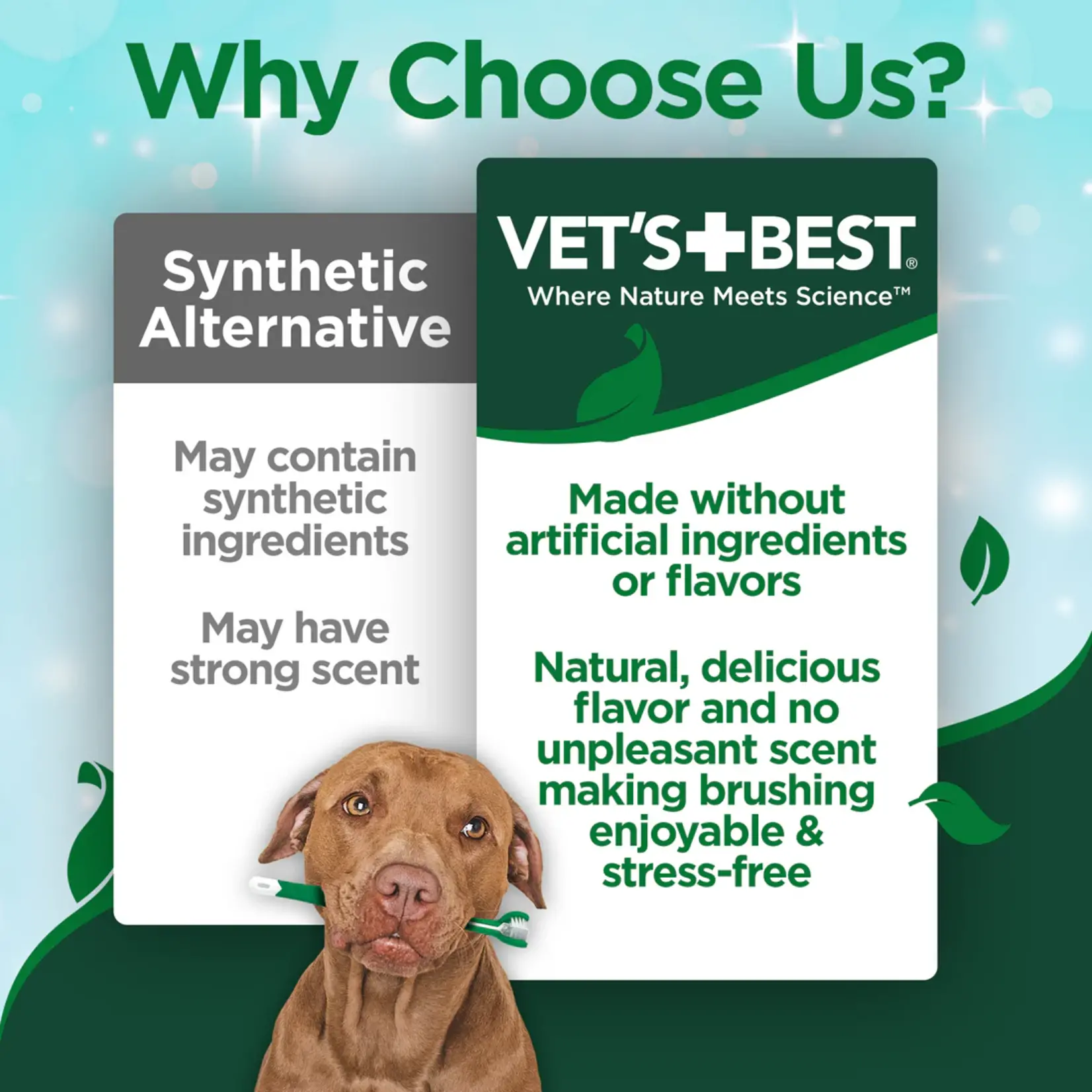 Vet's Best Vet's Best: Enzymatic Toothpaste