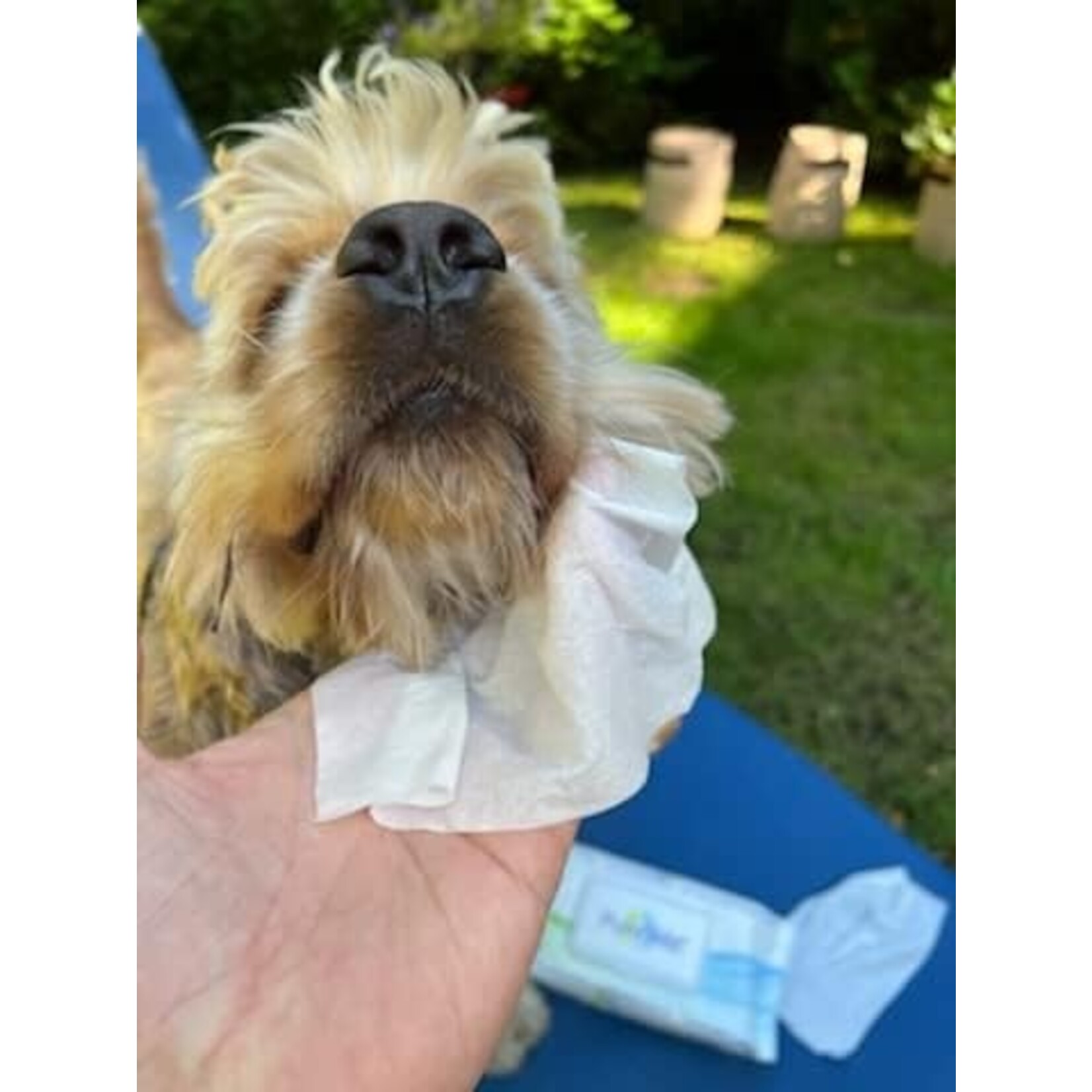 Pure Wet PureWet: Pet Wipes 60pk