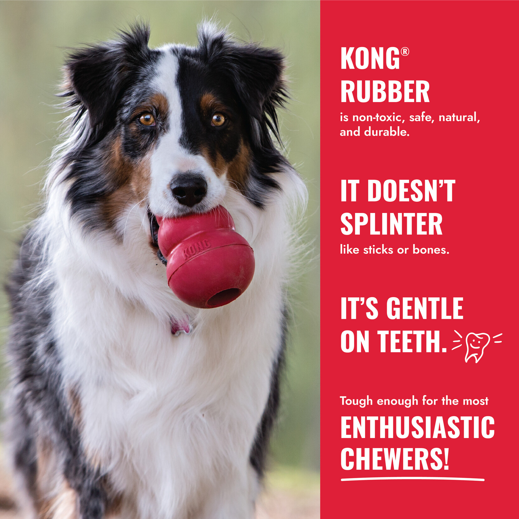 Kong Kong: Classic Kong Toy