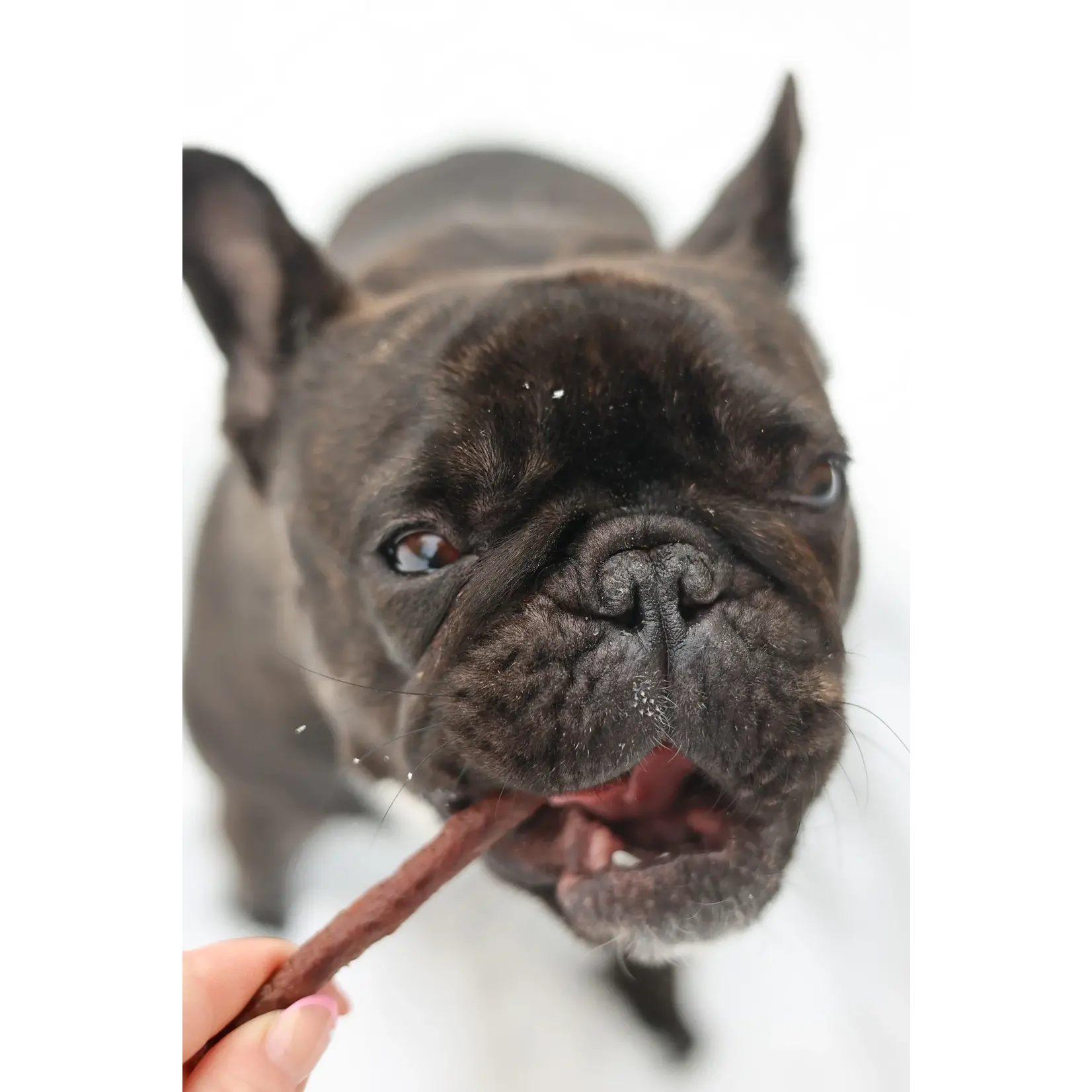 Tilted Barn Tilted Barn: Bison Treats 100g