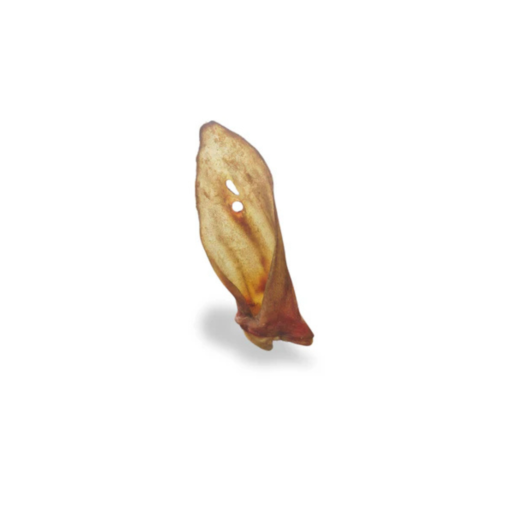 Just Raw Just Raw: Dehydrated Lamb Ears