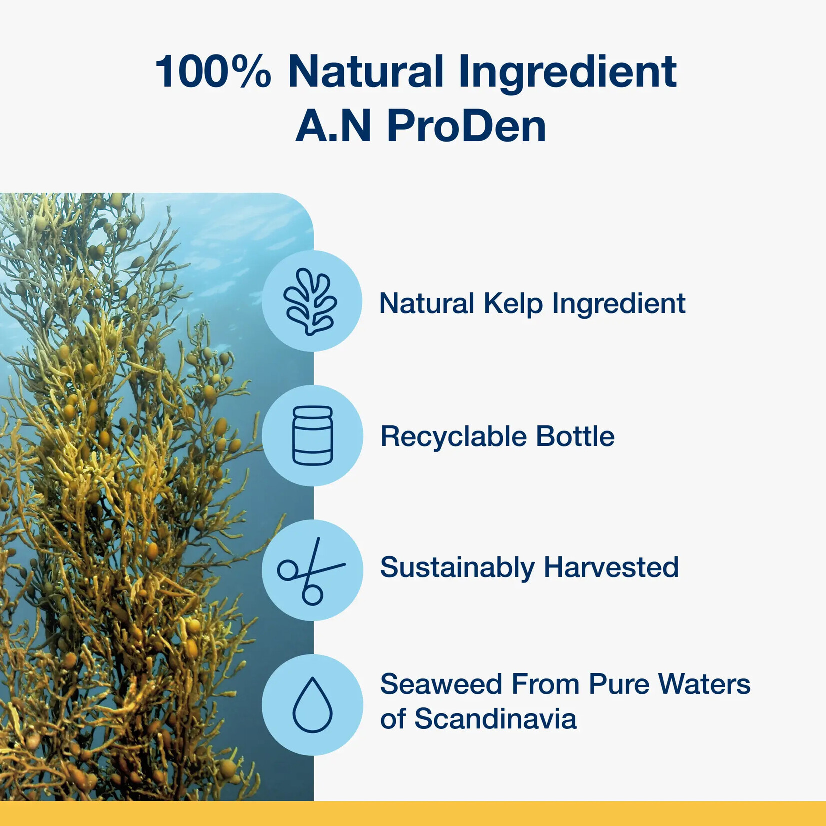 ProDen PlaqueOff Proden: PlaqueOff Seaweed Powder for Dogs