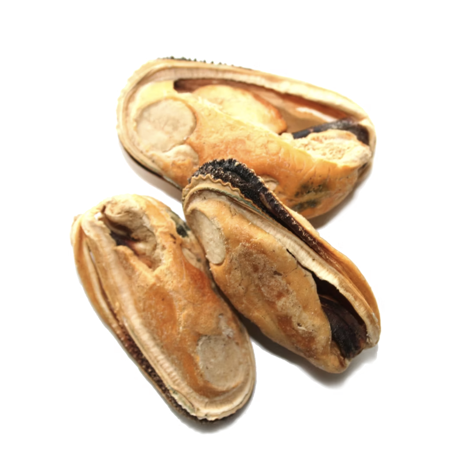 New Zealand Pet Food Co. NZPF: WOOF: Freeze Dried Treats: Green Lipped Mussels 50g