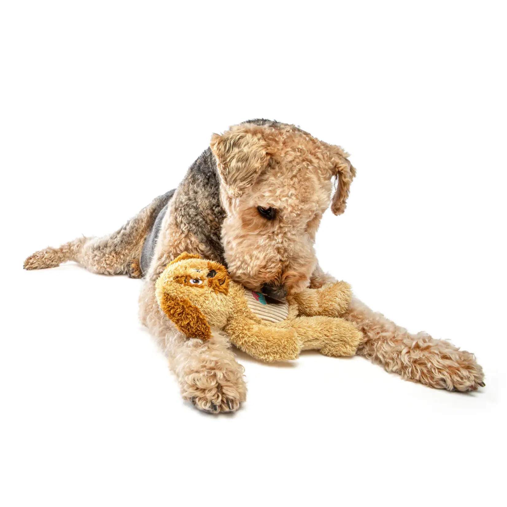Guru Pet Company Guru: Soft Scents: Dog
