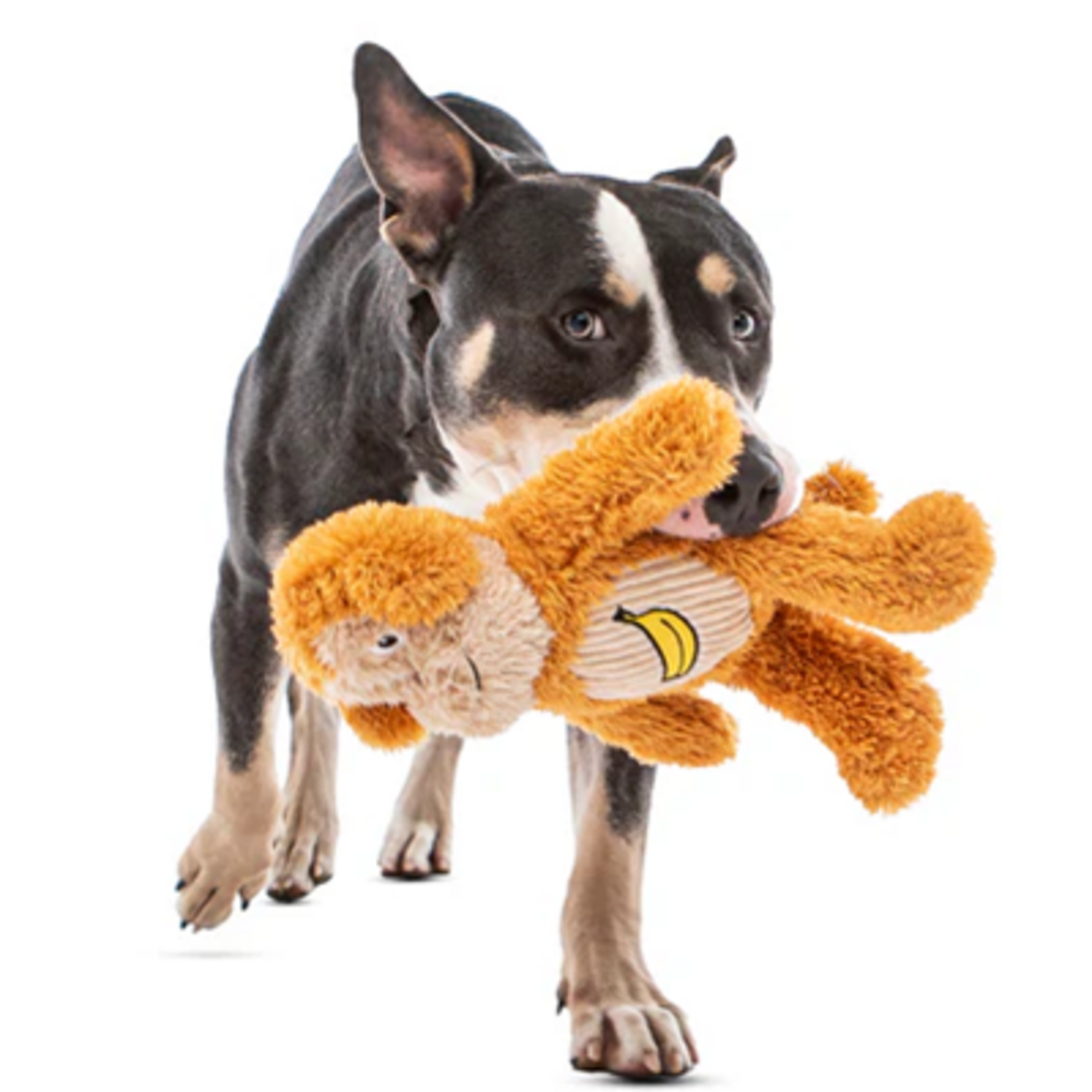 Guru Pet Company Guru: Soft Scents: Monkey
