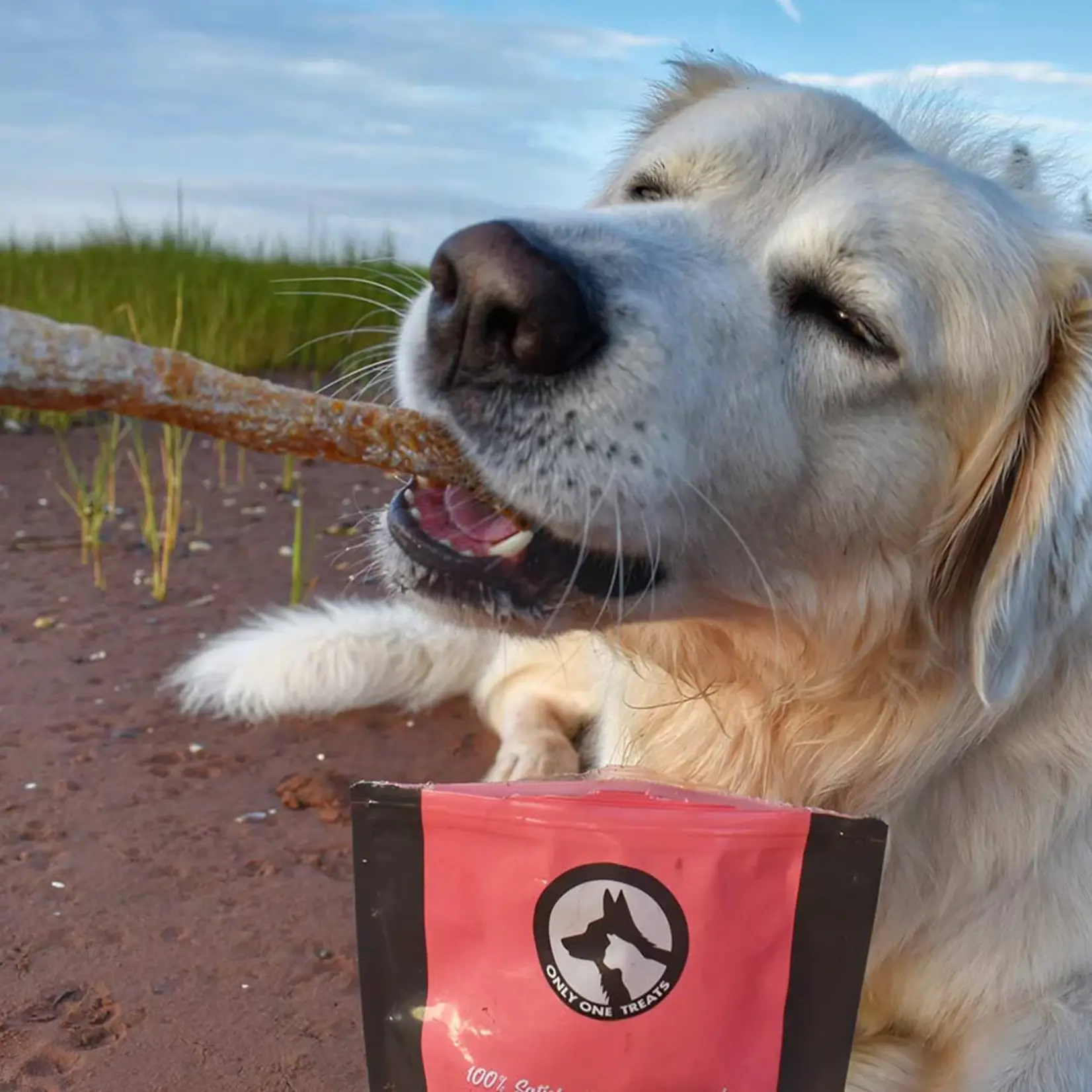 Only One Treats Only One Treat: Salmon Skin Strips 85g