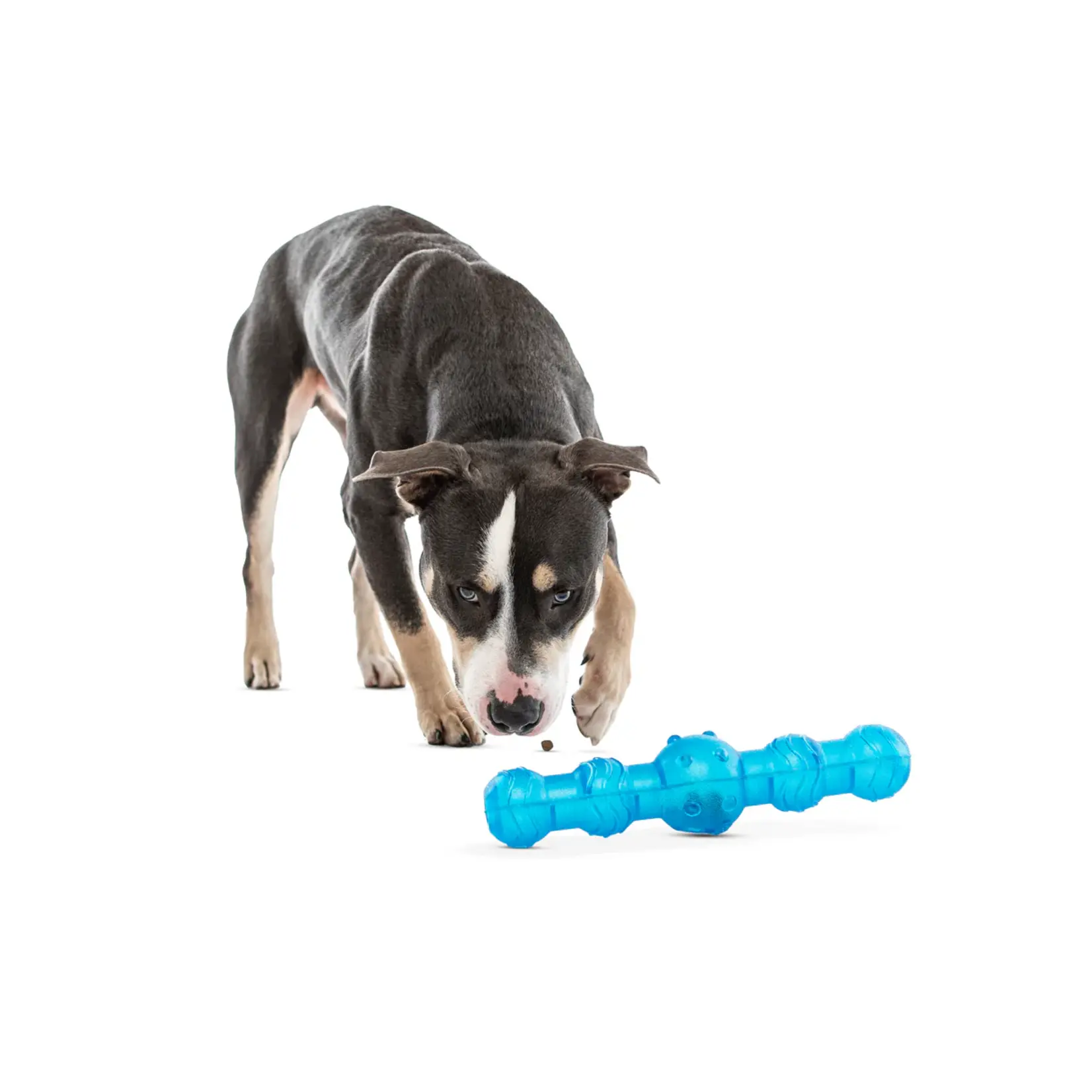 Guru Pet Company Guru: Shaker Stick