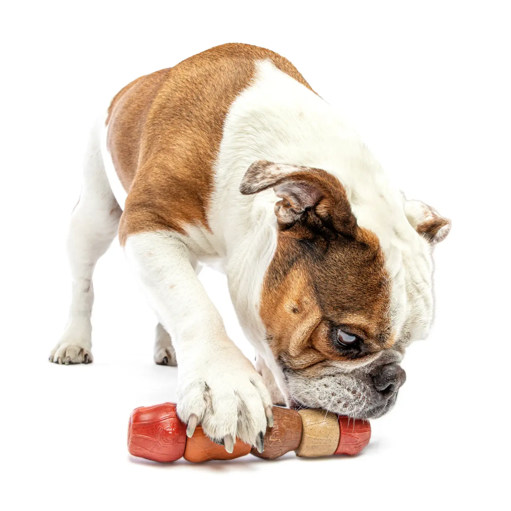 Guru Pet Company Guru: Multi-Flavour Stick