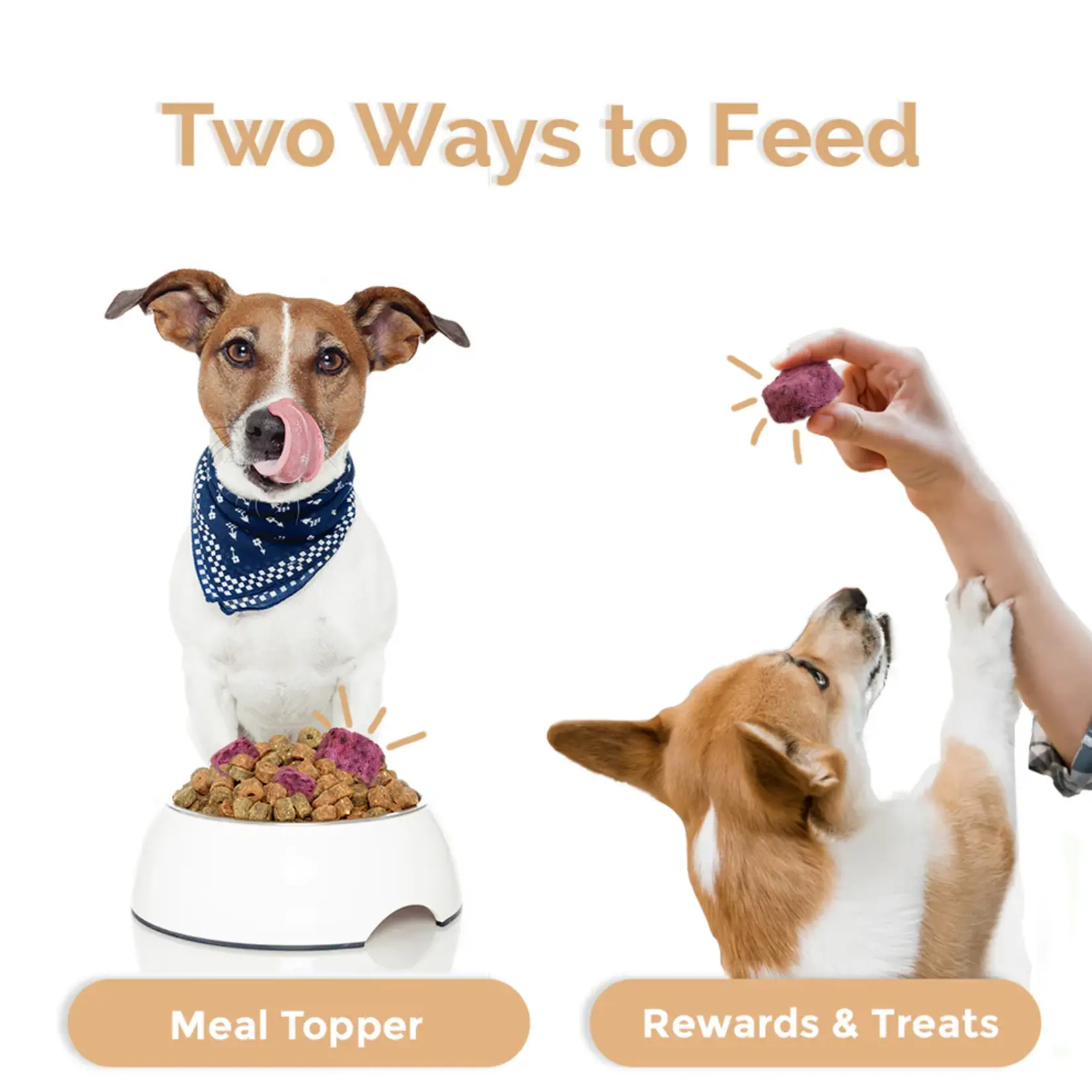 Loopy Paws Loopy Paws: Crispy Goat Yogurt: Veggie & Apple 30g