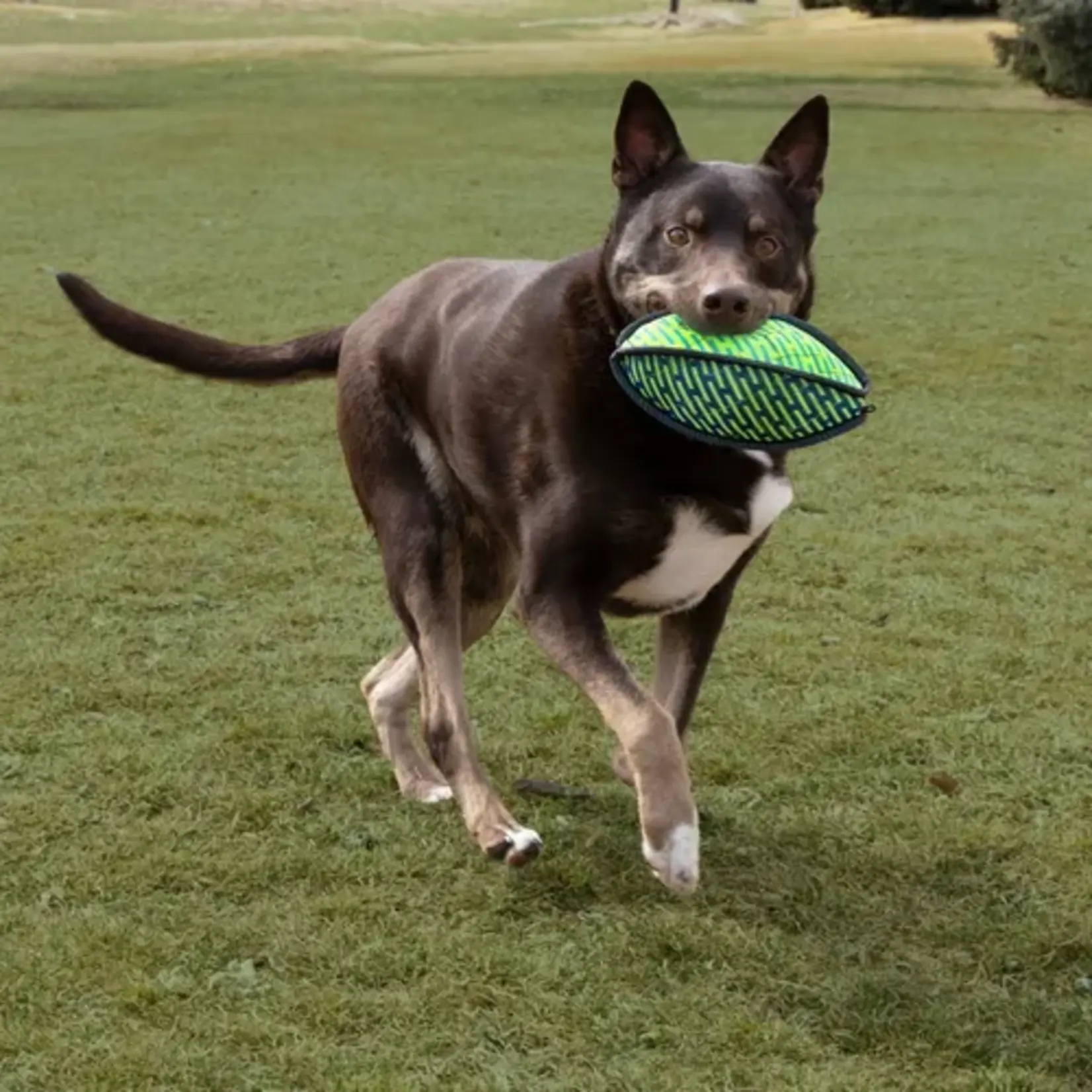 Kong Kong: Armor Football: Assorted Colours