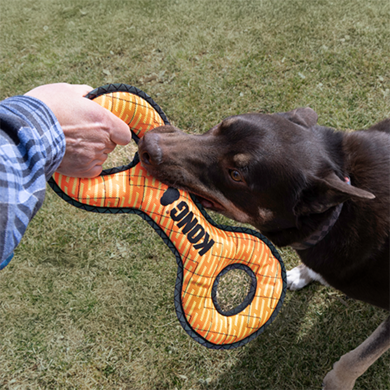 Kong Kong: Armor Double Tug: Assorted Colours