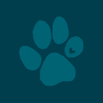 Frequent Buyer Program