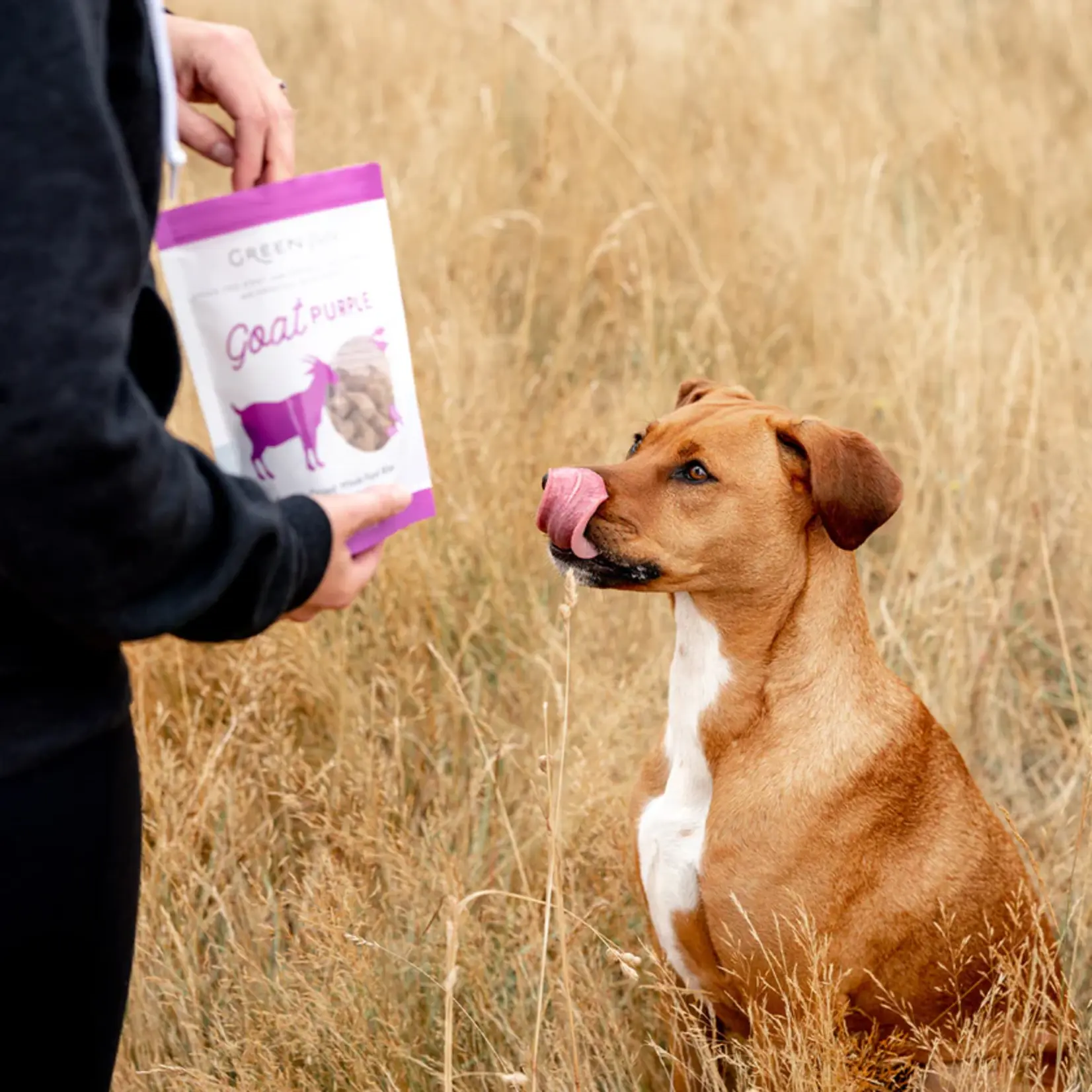 Green Juju Green Juju: Freeze-Dried Bites: Goat 85g