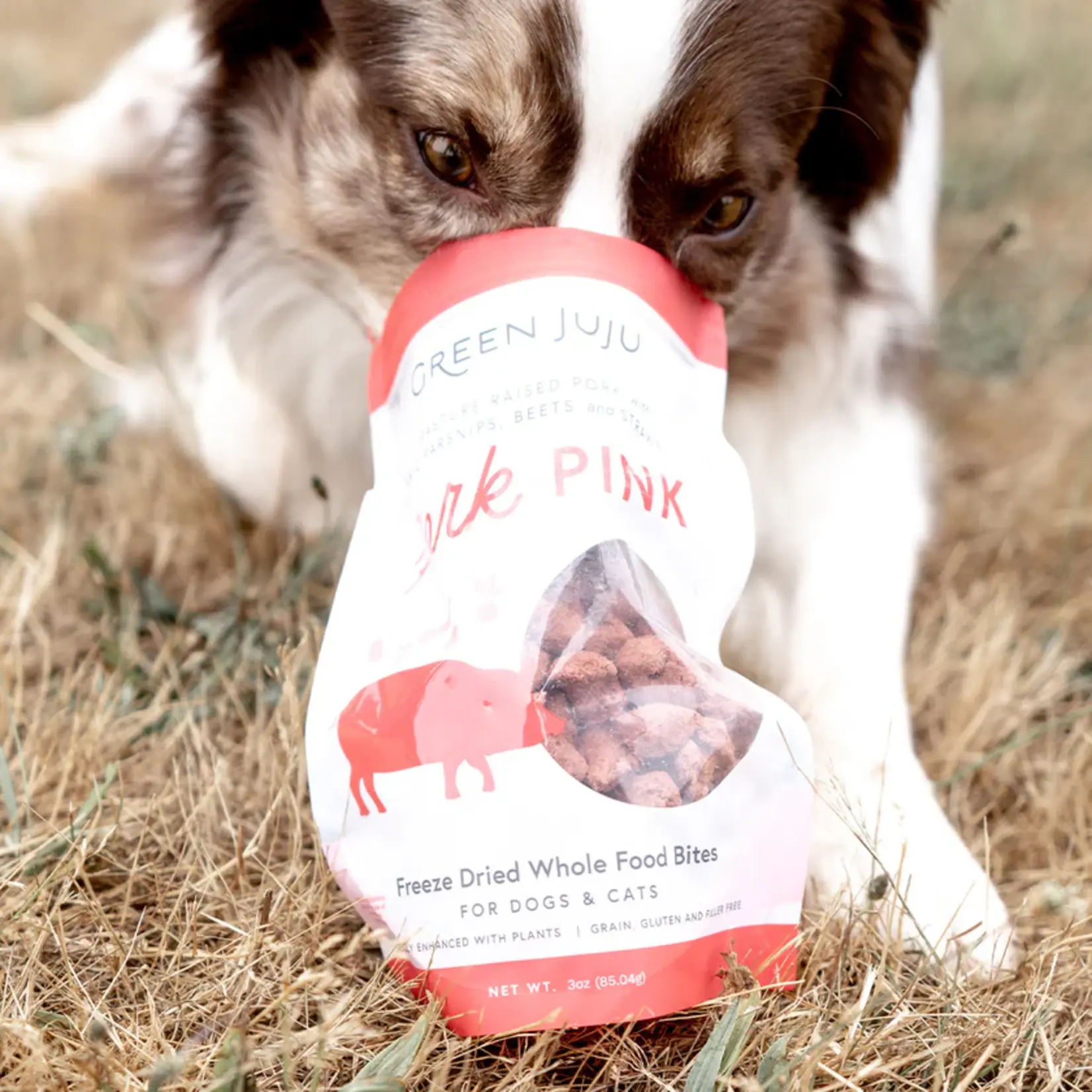 Green Juju Green Juju: Freeze-Dried Bites: Pork 85g