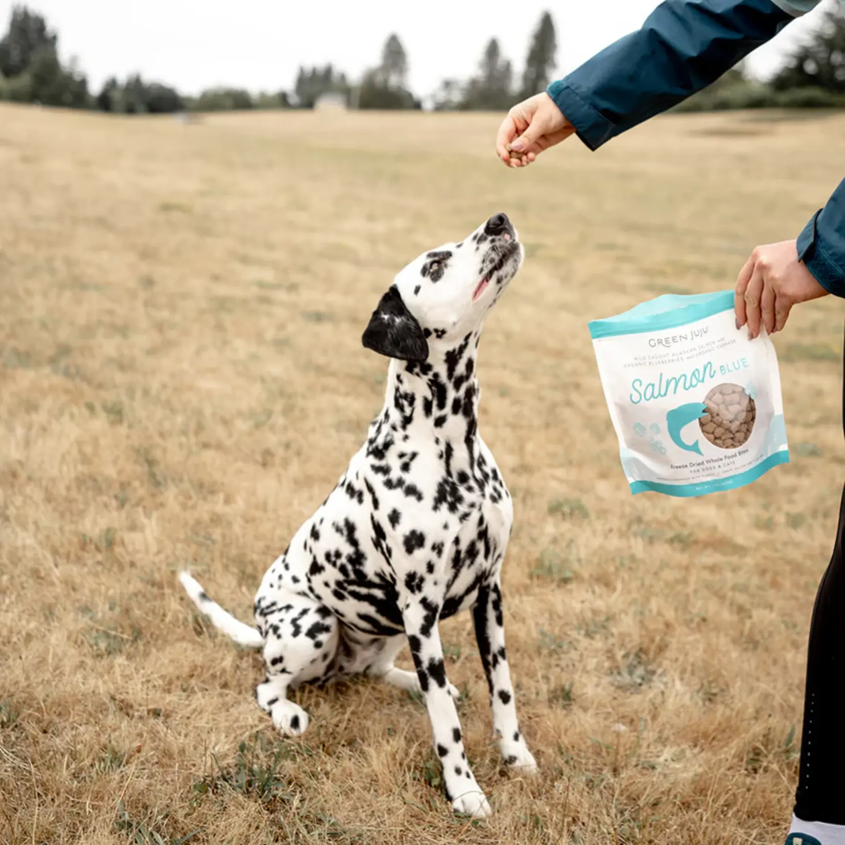 Green Juju Green Juju: Freeze-Dried Bites: Salmon 85g