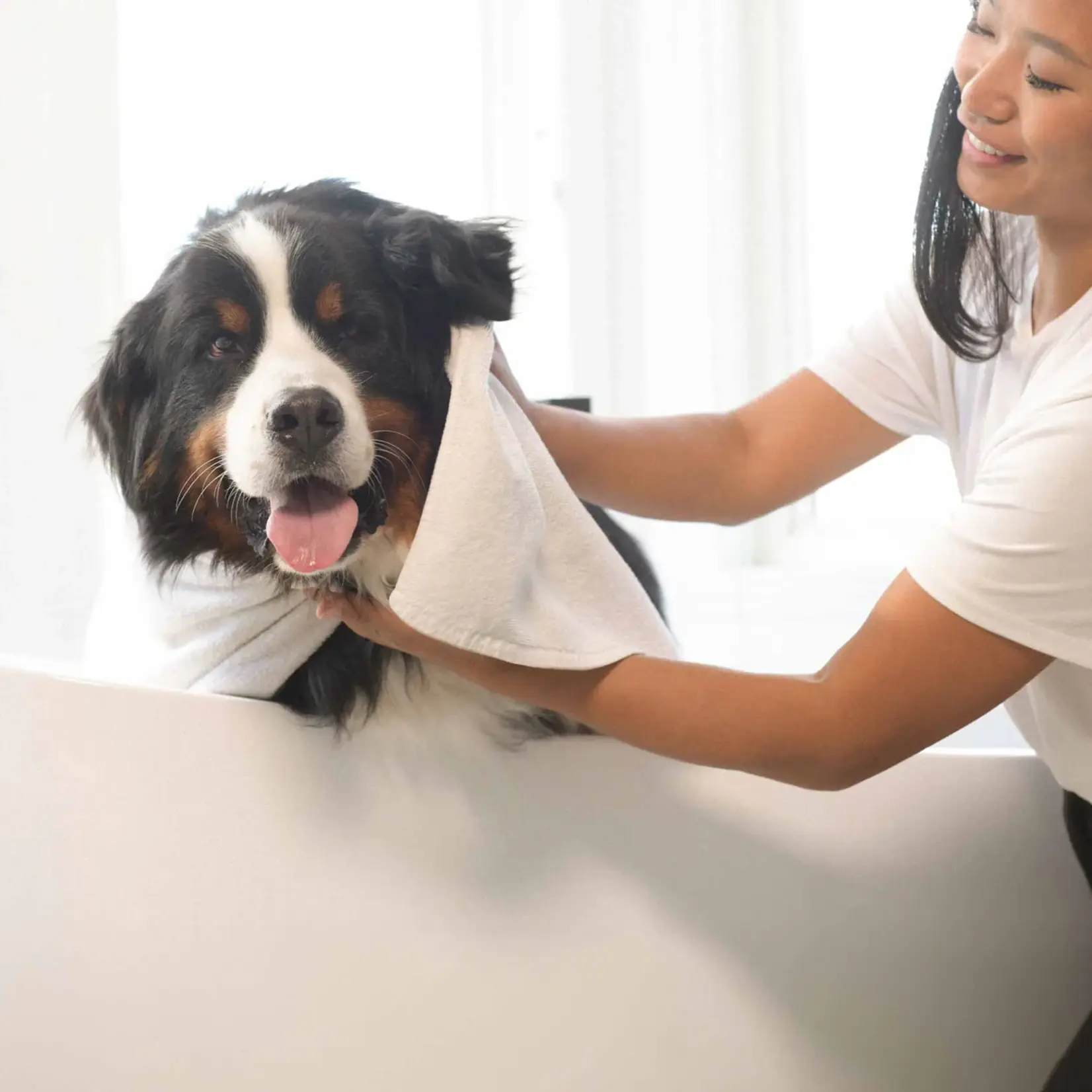 Attitude Attitude: 2-in-1 Pet Shampoo & Conditioner 16oz