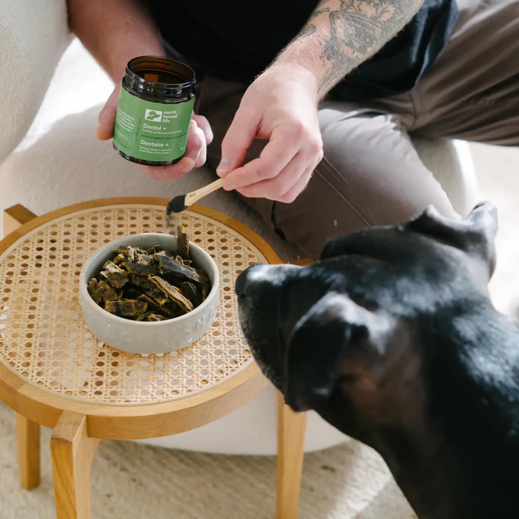 North Hound Life North Hound Life: Dental+ 100g