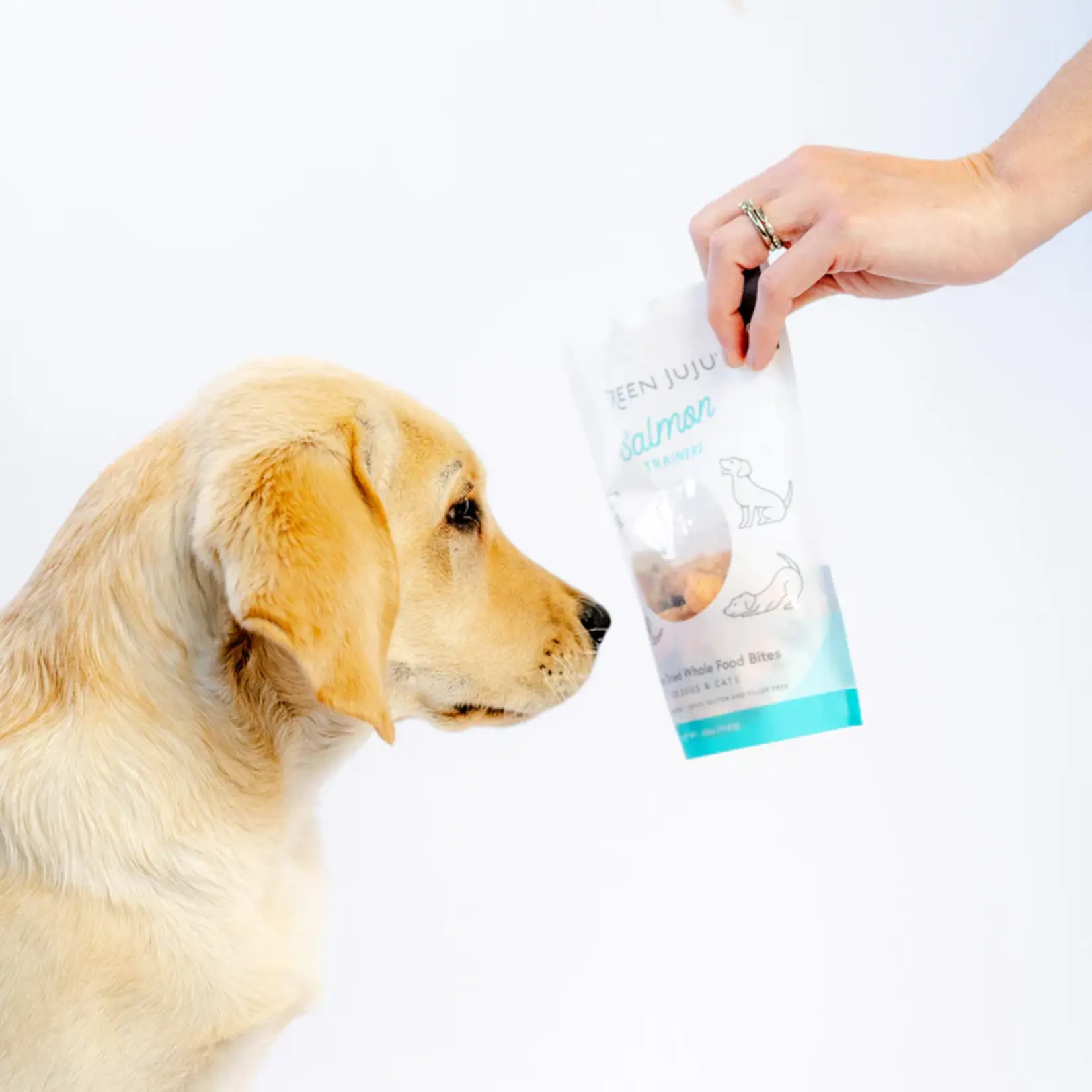 Green Juju Green Juju: Freeze Dried Trainers: Salmon 71g