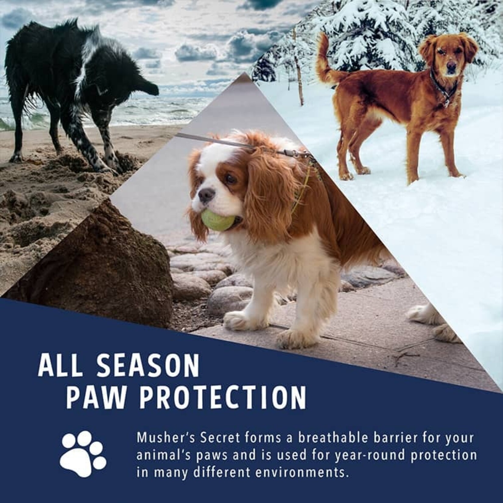 Musher's Secret Musher's Secret: Paw Protection