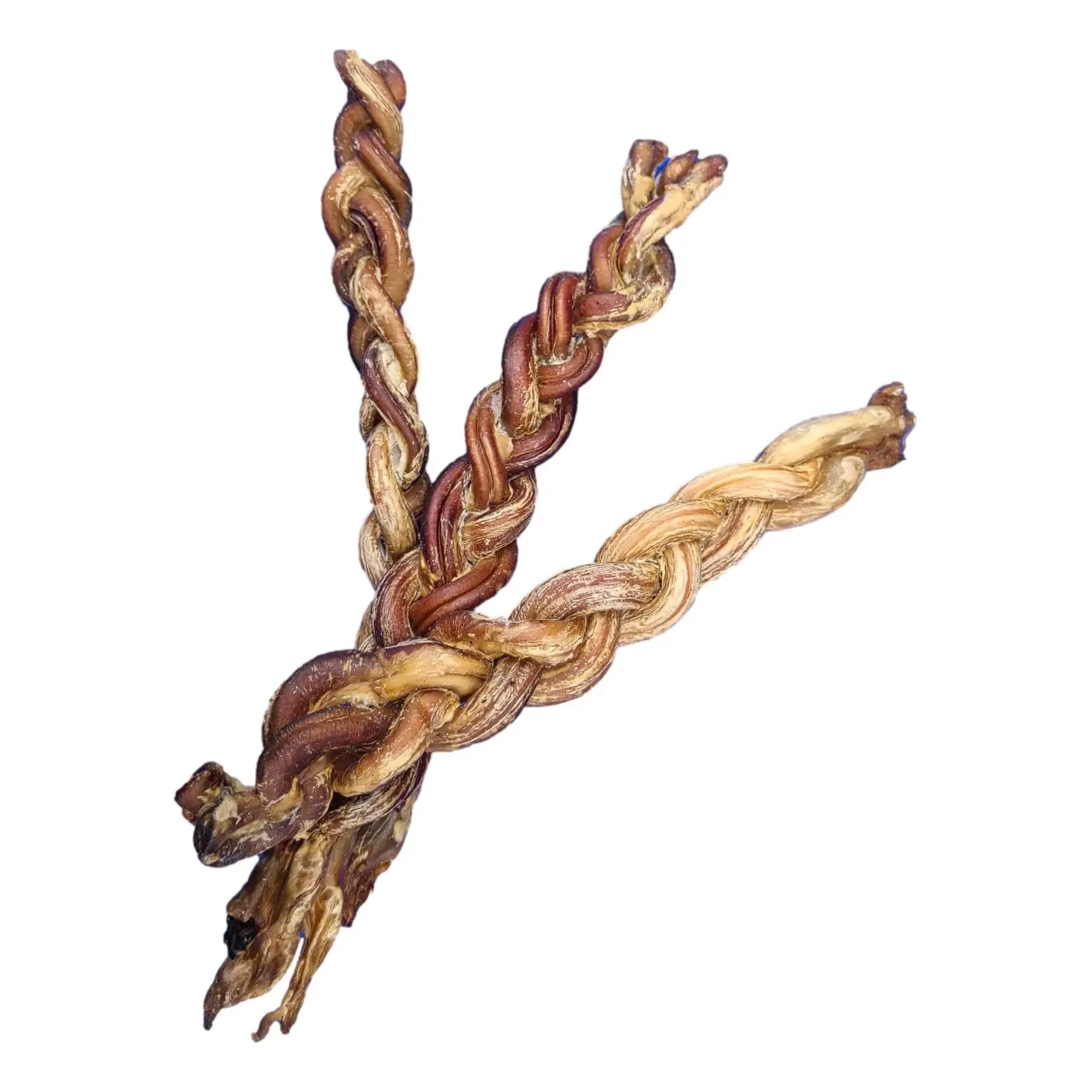 Only One Treats Only One Treats: Braided Lamb Pizzle 8-11"