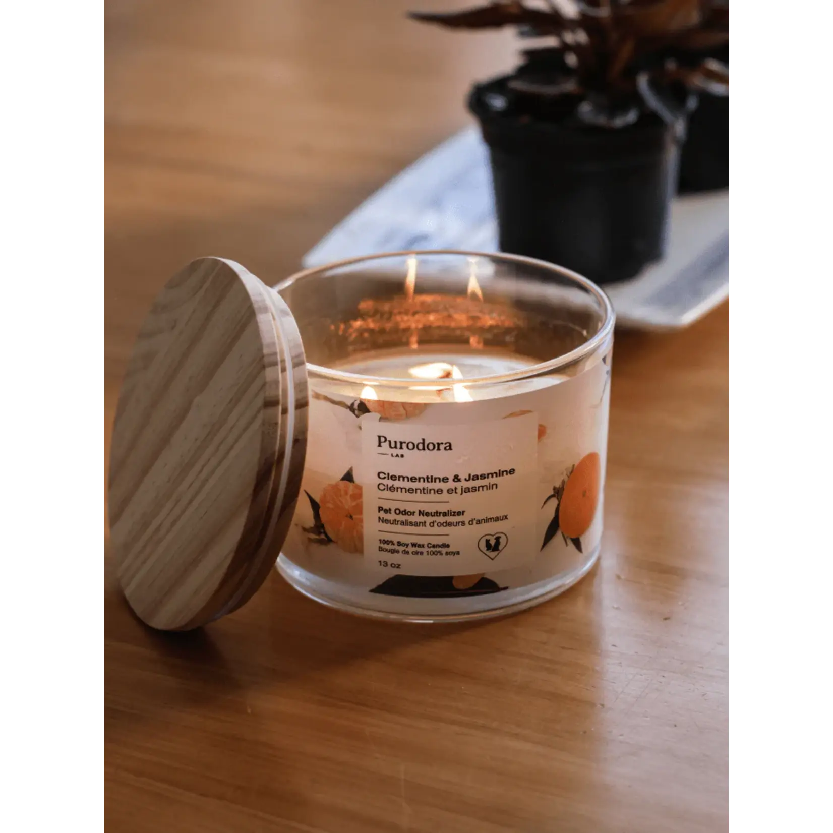 Purodora Purodora: 100% Soy Candle: Pet Odor Neutralizer: Clementine & Jasmin