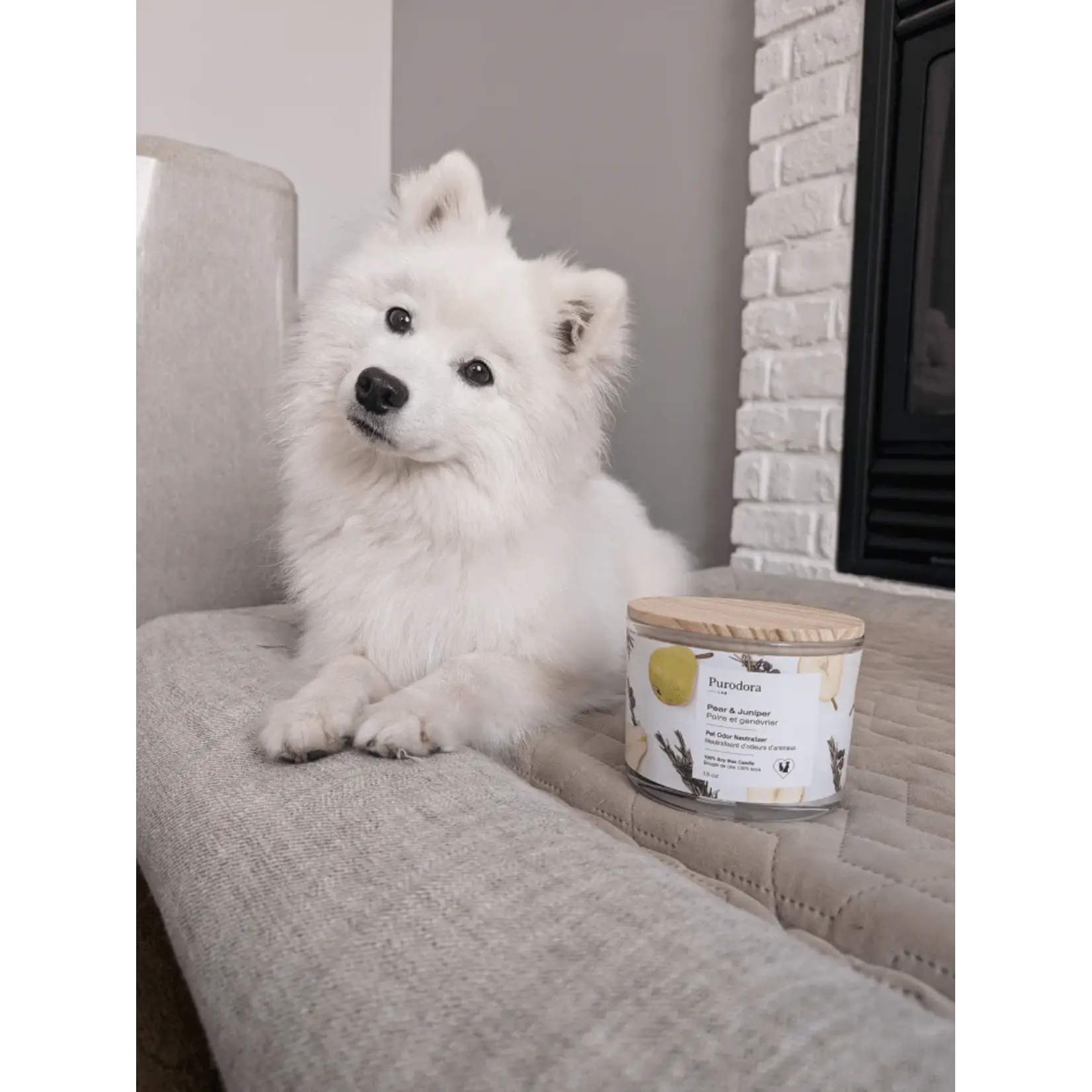 Purodora Purodora: 100% Soy Candle: Pet Odor Neutralizer: Pear & Juniper
