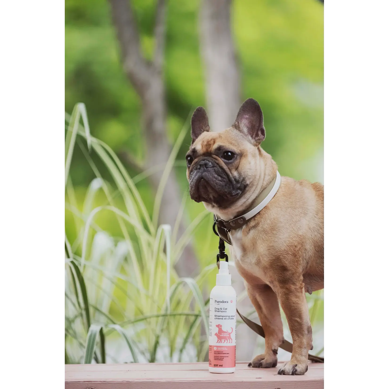 Purodora Purodora: Pet Shampoo: No-Rinse for Dogs & Cats: Aloe & White Tea 500mL