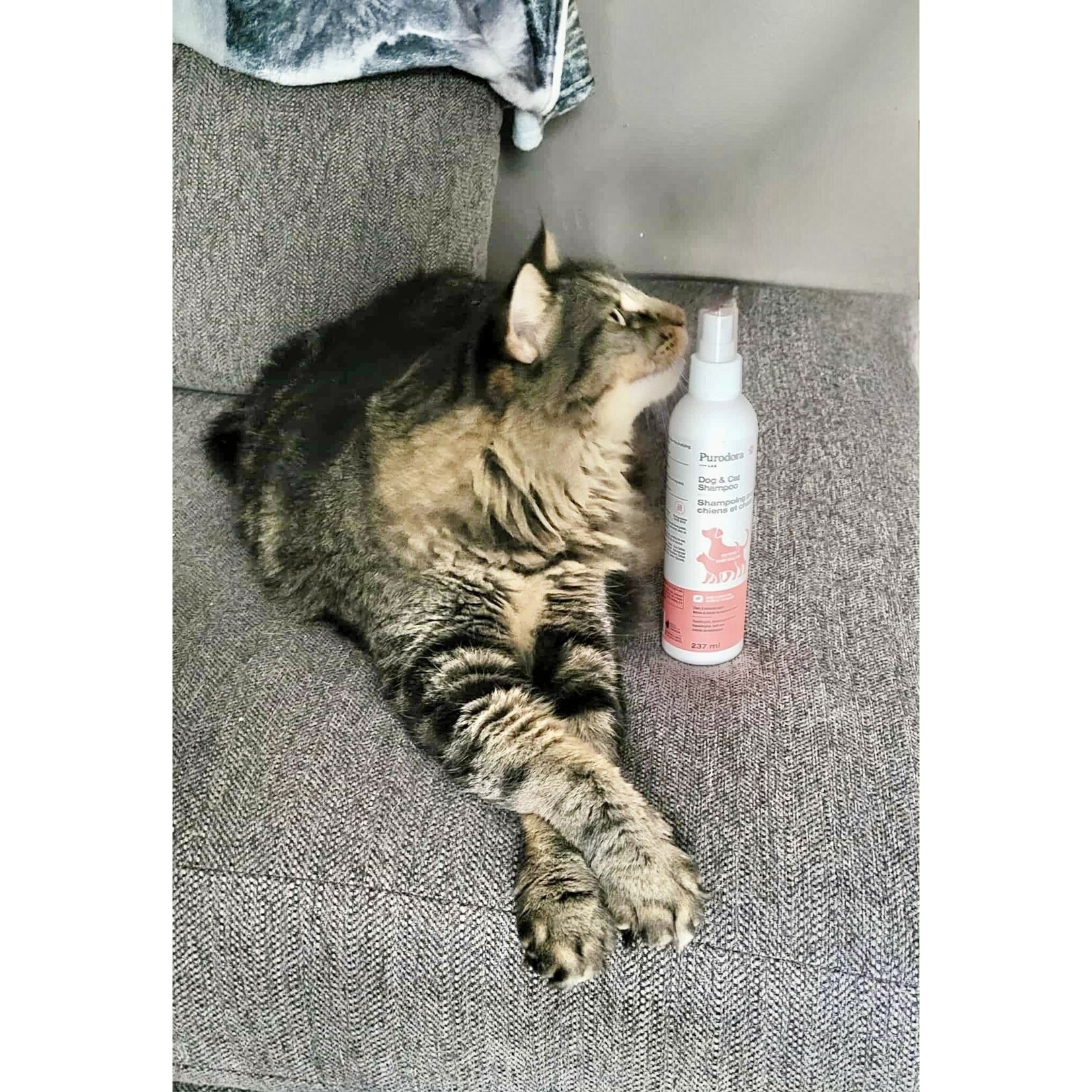 Purodora Purodora: Pet Shampoo: No-Rinse for Dogs & Cats: Aloe & White Tea 500mL