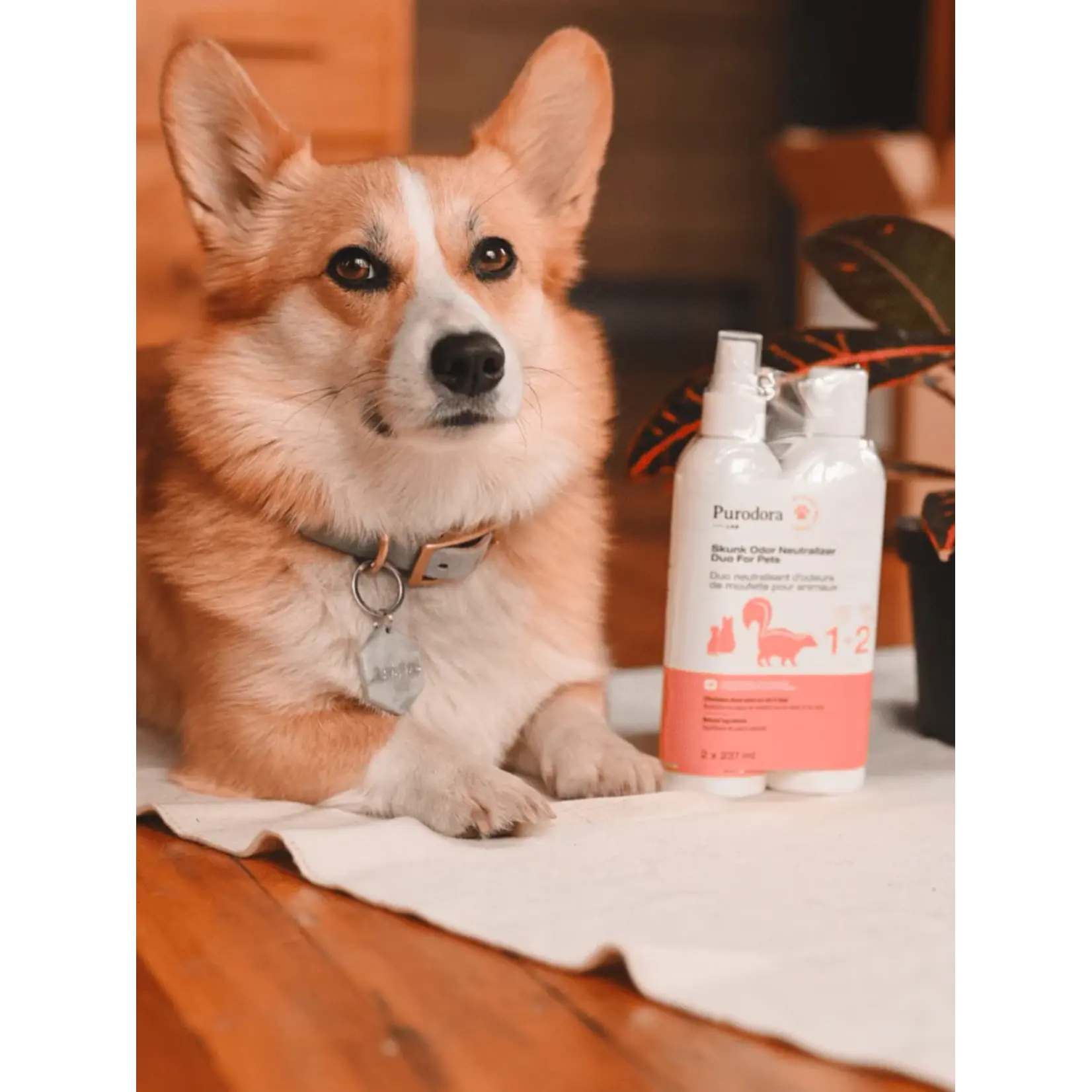 Purodora Purodora: Skunk & Odor Neutralizer: Shampoo & Spray Duo Pack