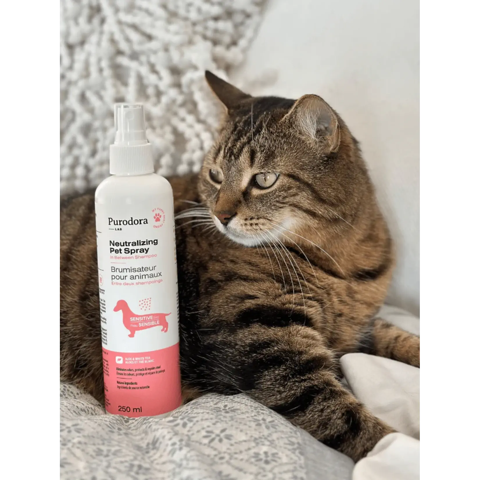 Purodora Purodora: Pet Spray: Sensitive Skin: Aloe & White Tea 237mL