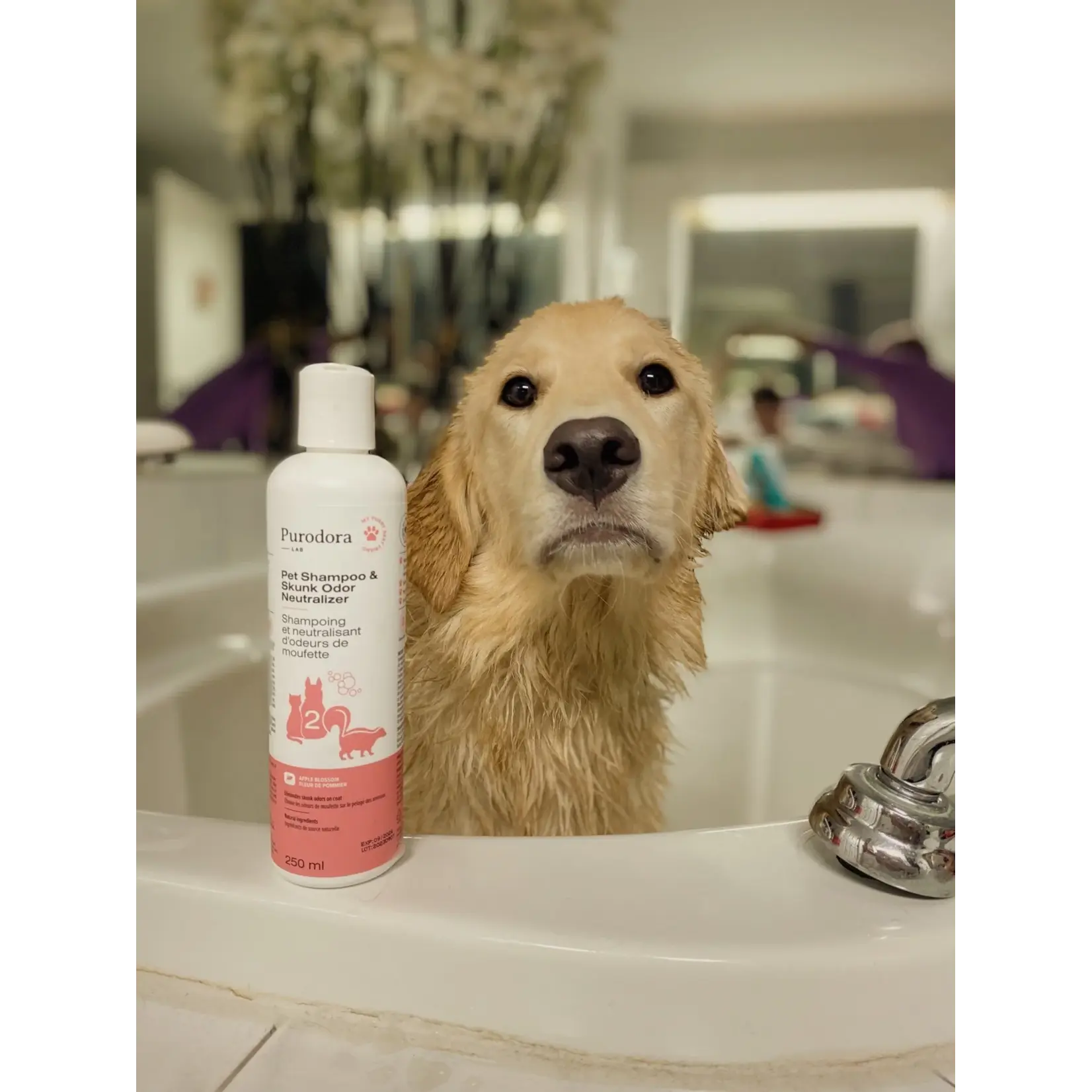 Purodora Purodora: Skunk & Odor Neutralizer: Shampoo 250mL