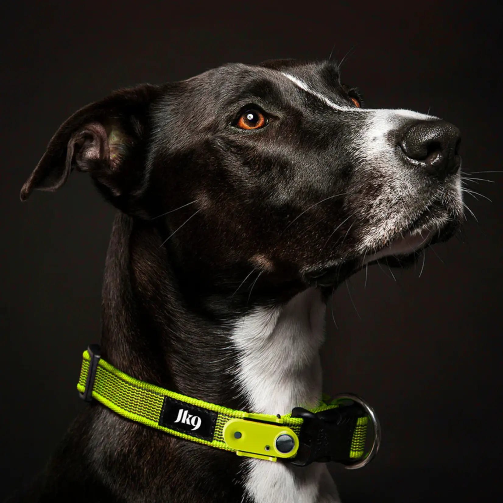 Tickless Tickless: Anti-Tick Outdoor Collar: Neon Yellow