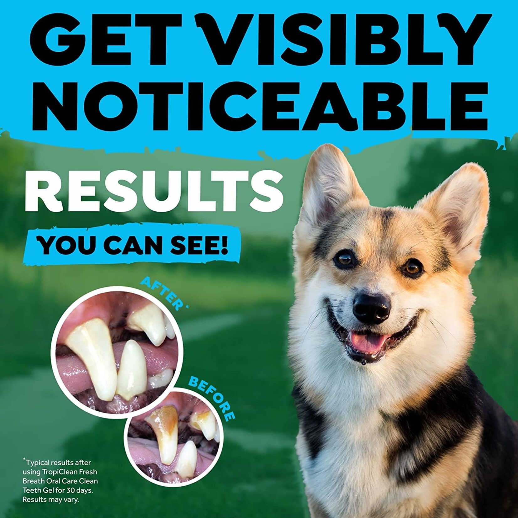 TropiClean Tropiclean: TripleFlex Dental Brush