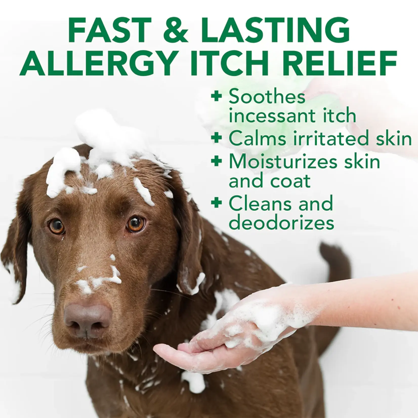 Vet's Best Vet's Best: Allergy Itch Relief Shampoo 16oz