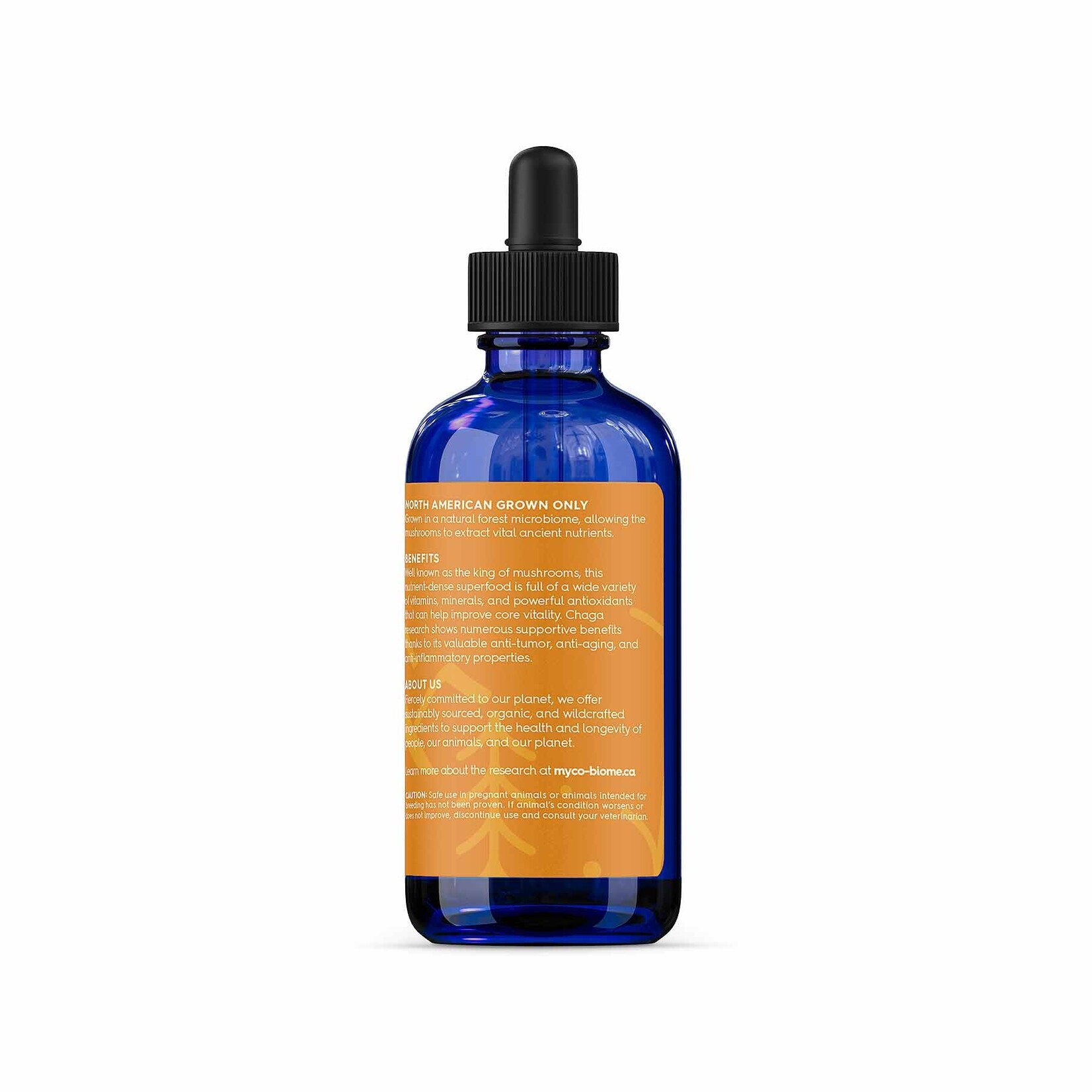 Adored Beast Adored Beast: Chaga Mushrooms: Liquid Triple Extract 125mL