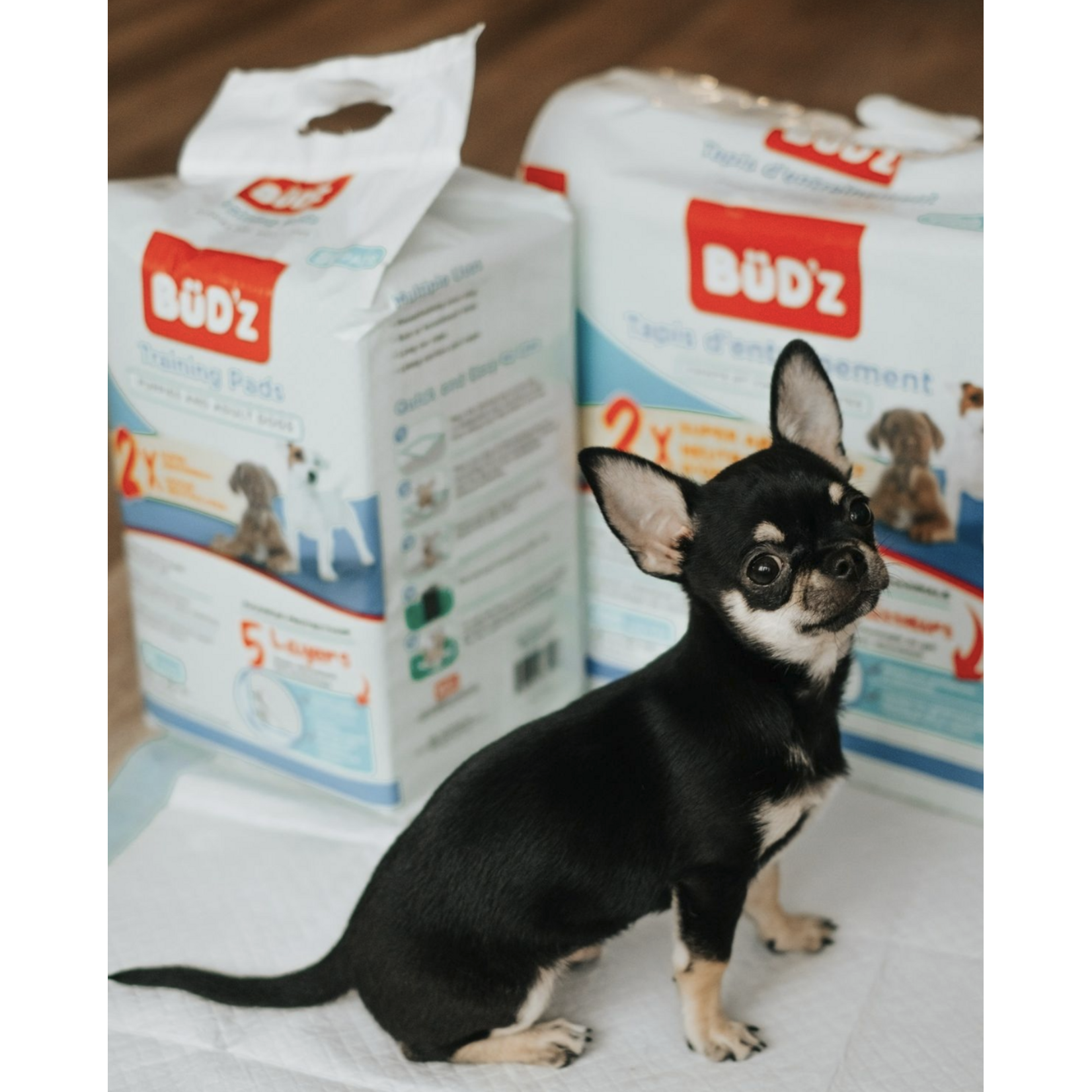 Bud'z Bud’z: Training Pads (22x22") 50pk