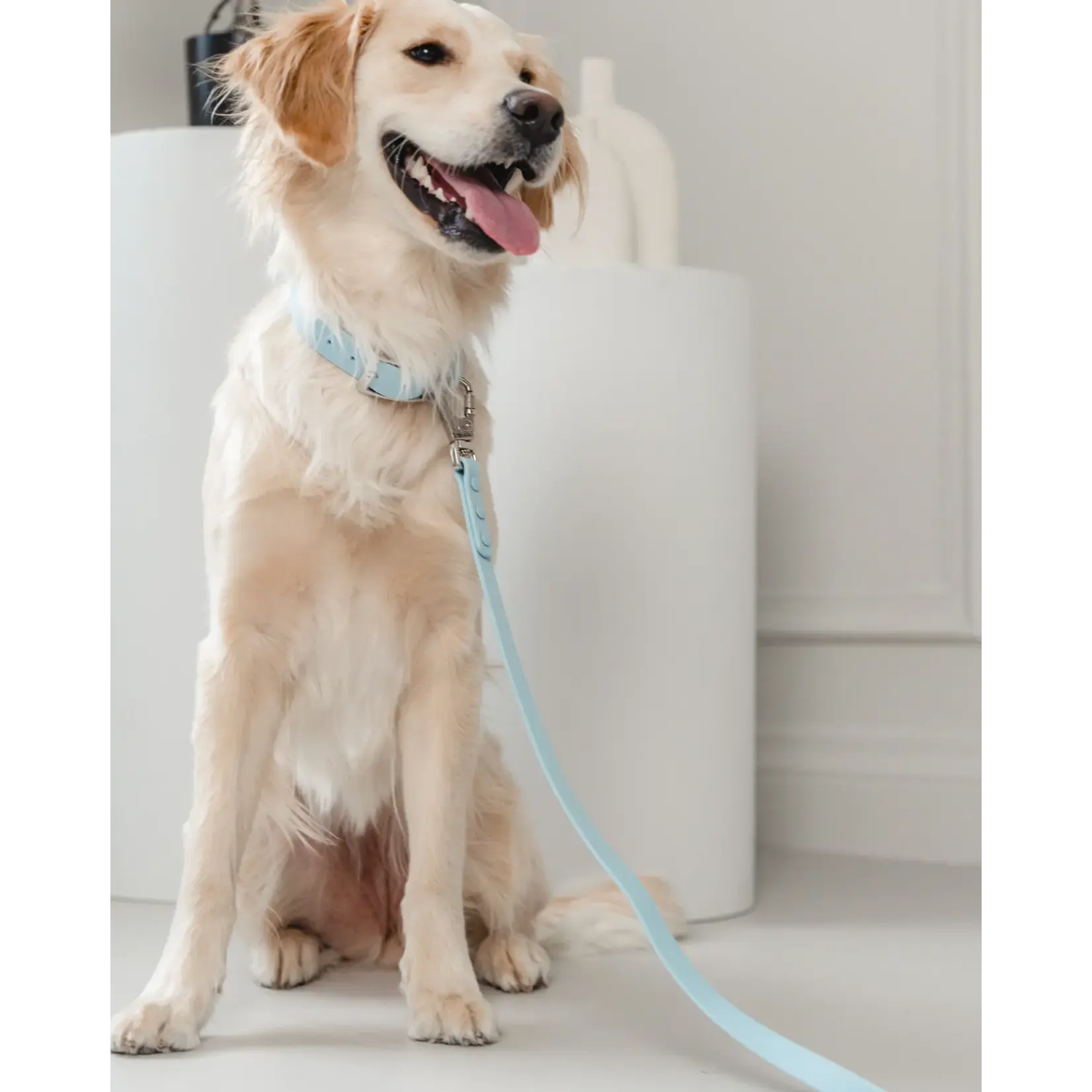 Dexypaws Dexypaws: Sky Blue Waterproof Dog Collar