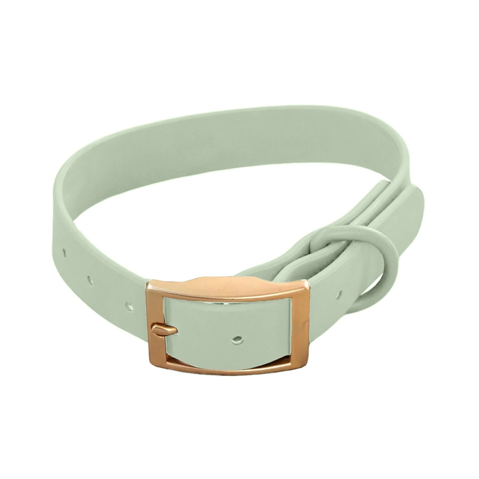 Dexypaws Dexypaws: Sage Green Waterproof Dog Collar